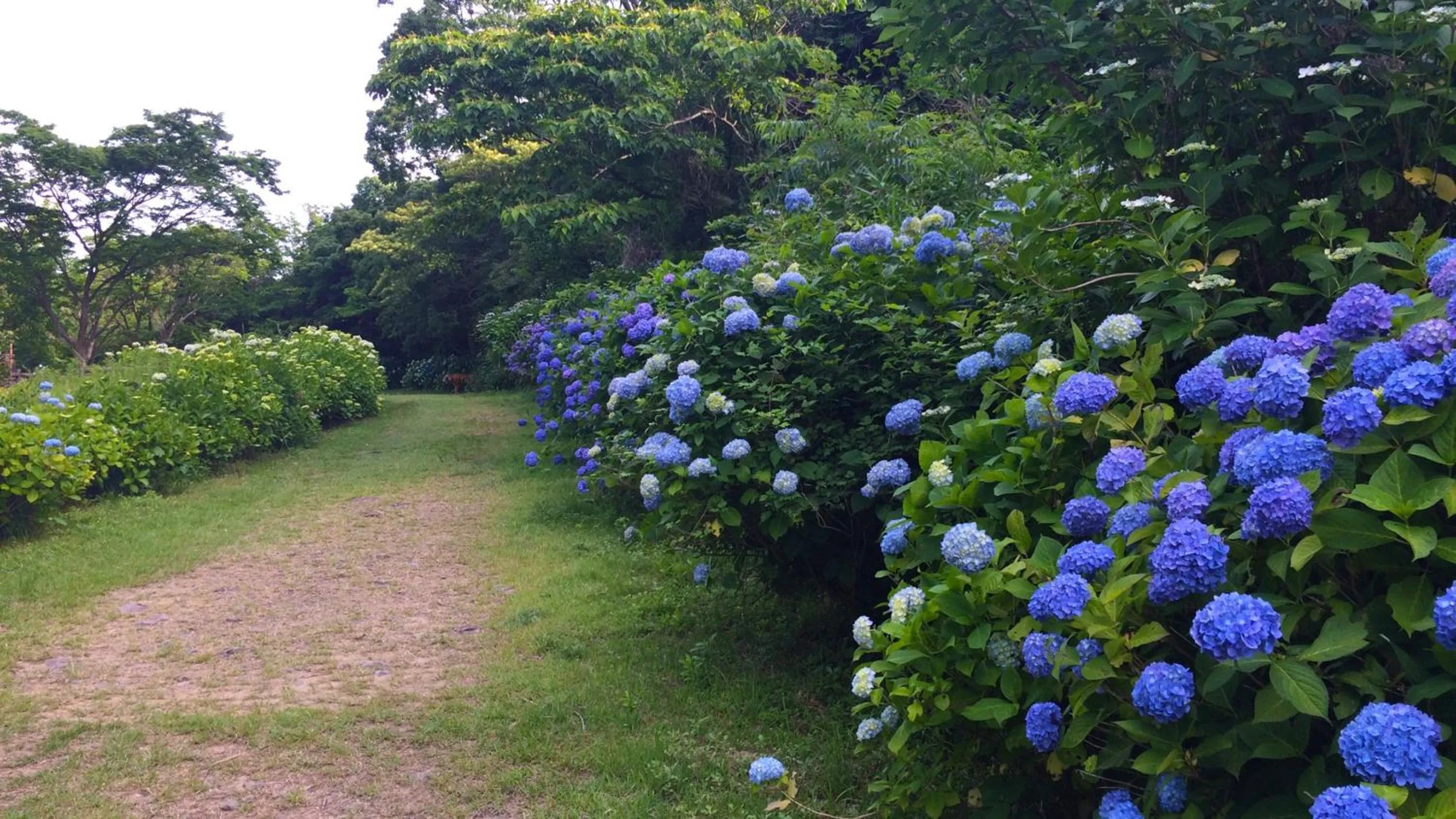 Kyukamura Kishu-Kada