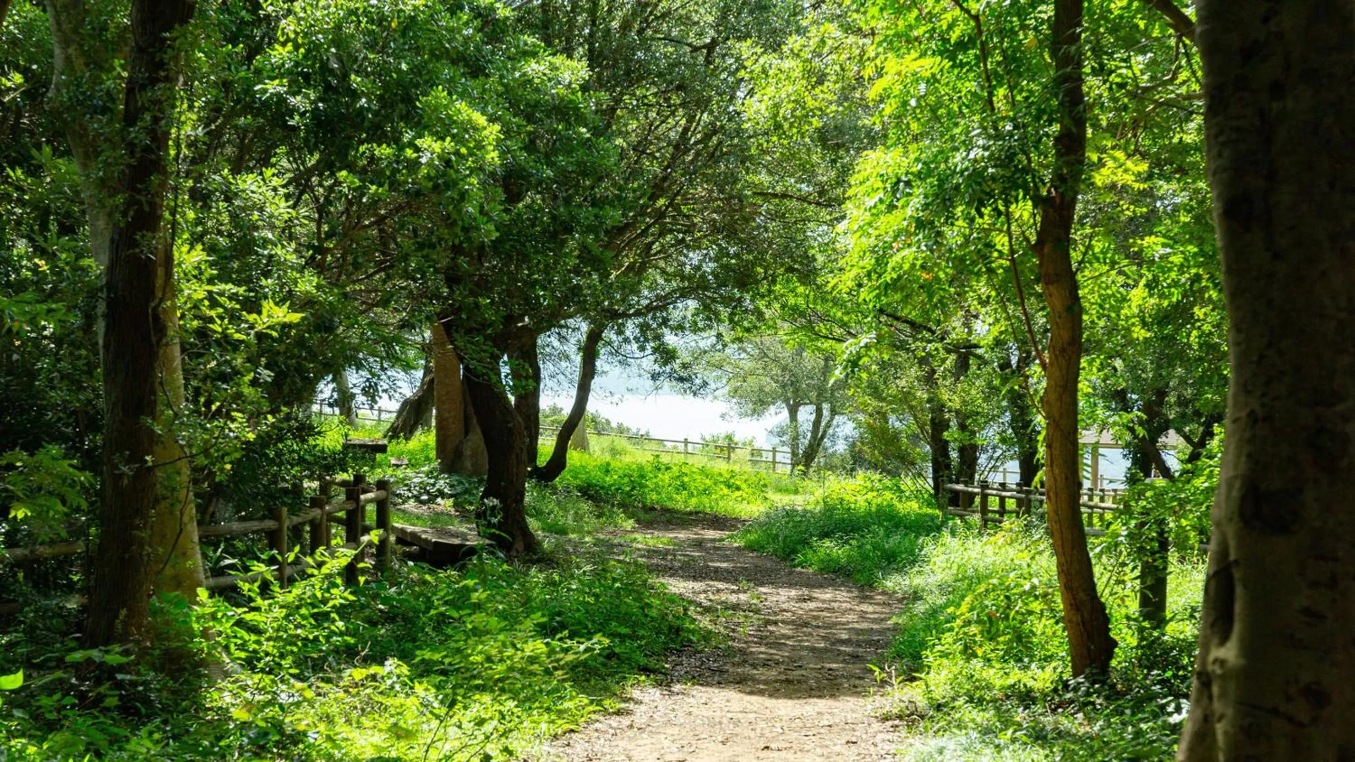 Kyukamura Kishu-Kada