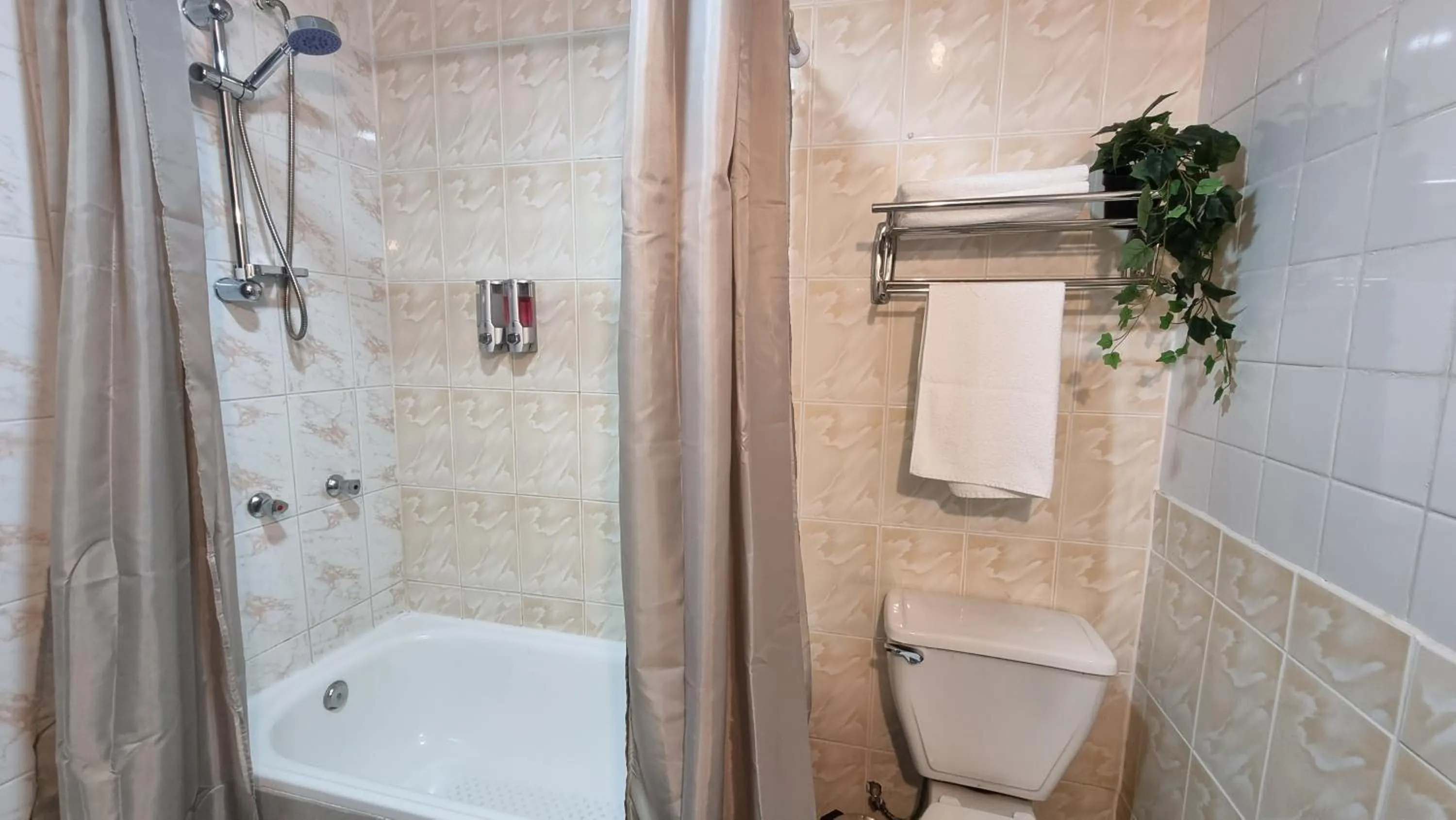 Shower in Hotel Asturias