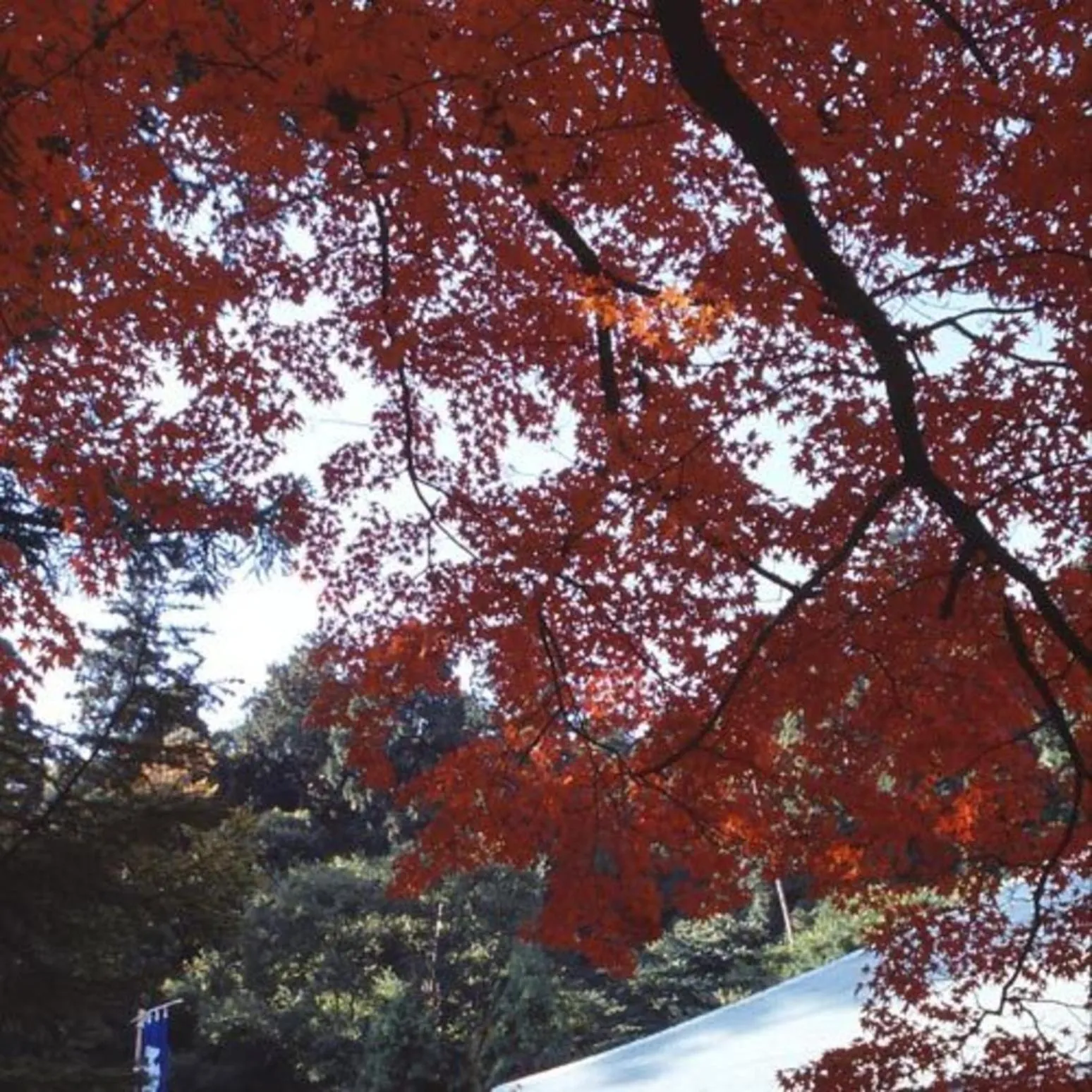 Natural landscape in Kyukamura Setouchi-Toyo