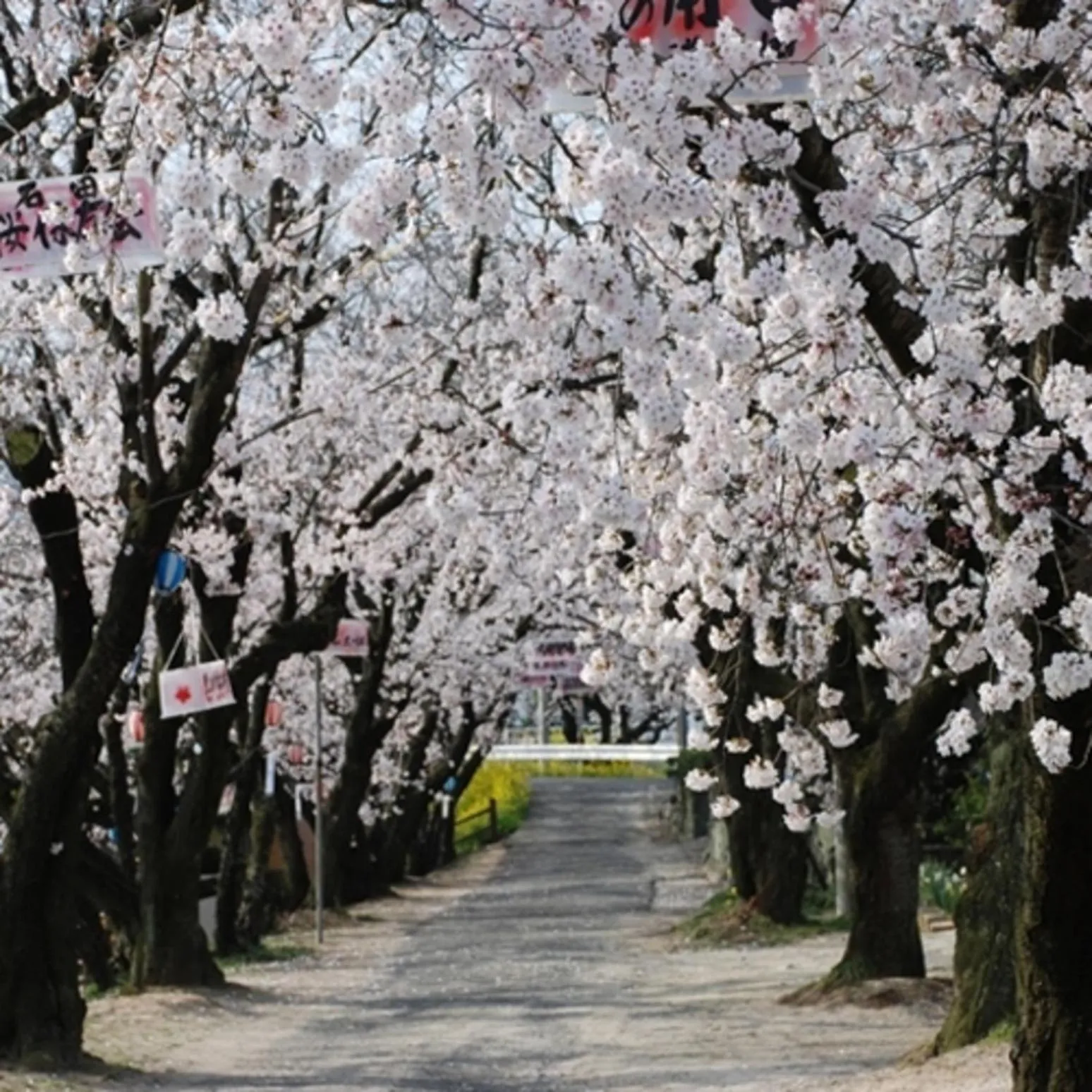 Nearby landmark in Kyukamura Setouchi-Toyo