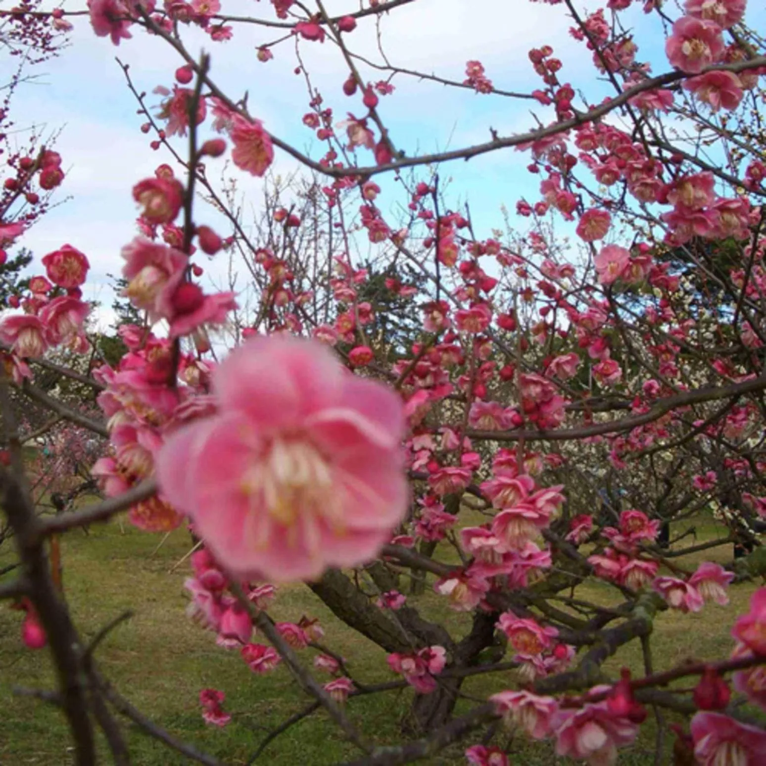 Nearby landmark in Kyukamura Setouchi-Toyo
