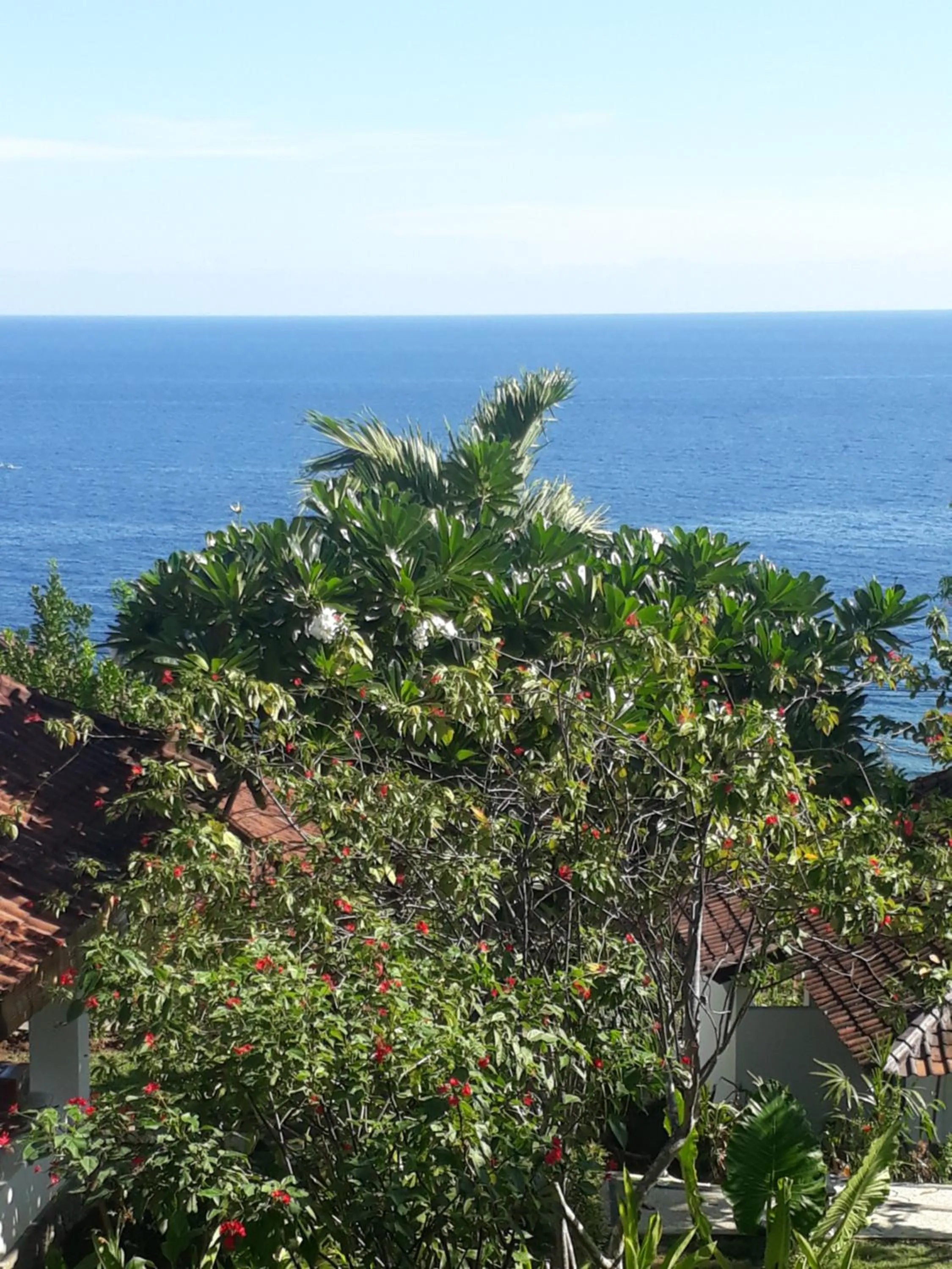 Natural landscape in Anda Amed Villas & Spa