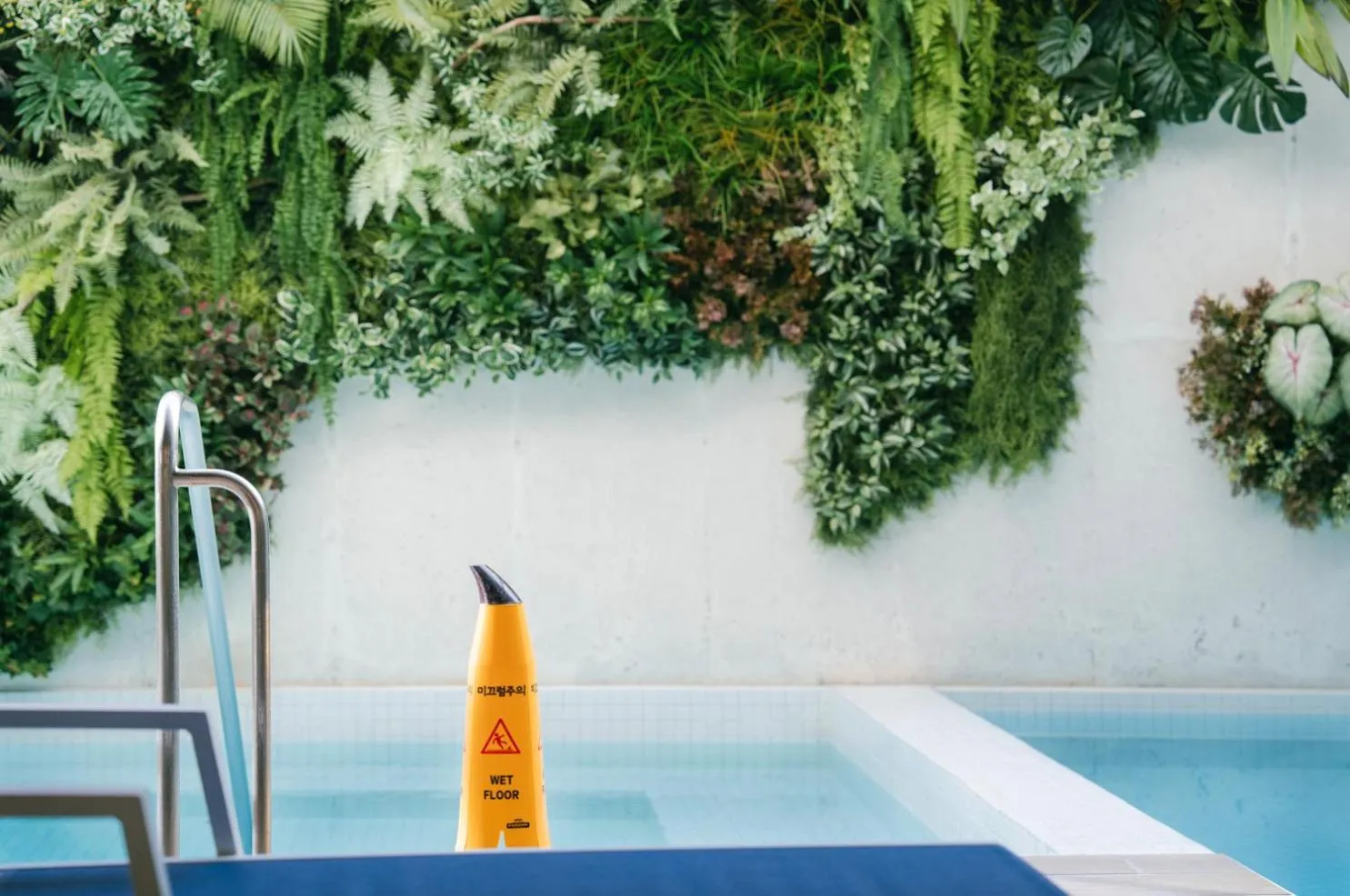 Swimming pool in Hotel Parangvue