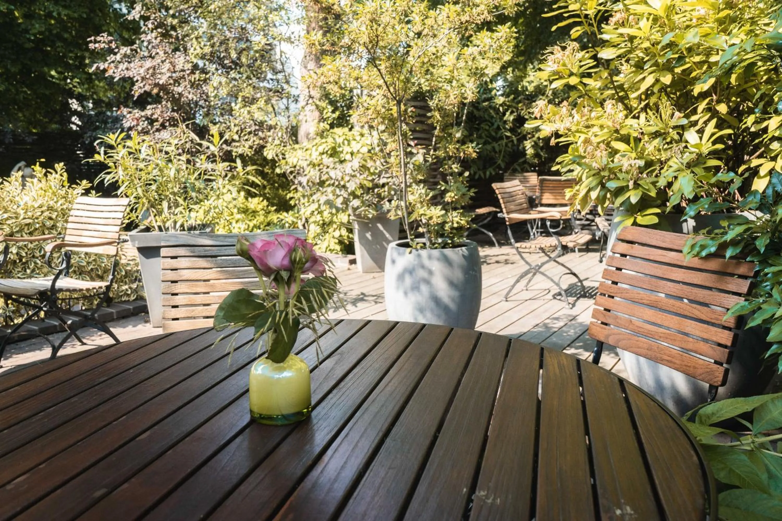 Garden in Wedina Budget