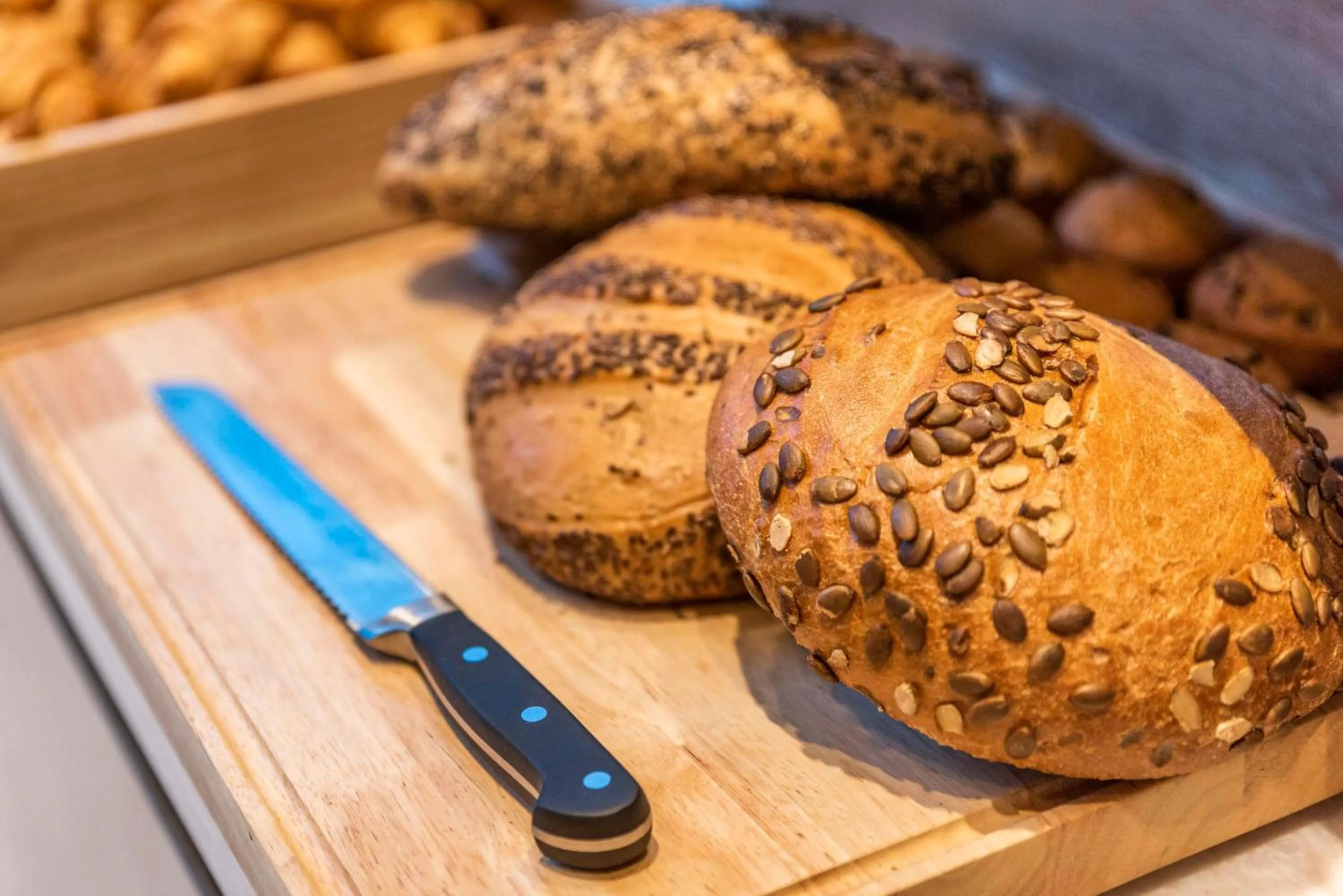 Dining area in Hilton Santa Marta