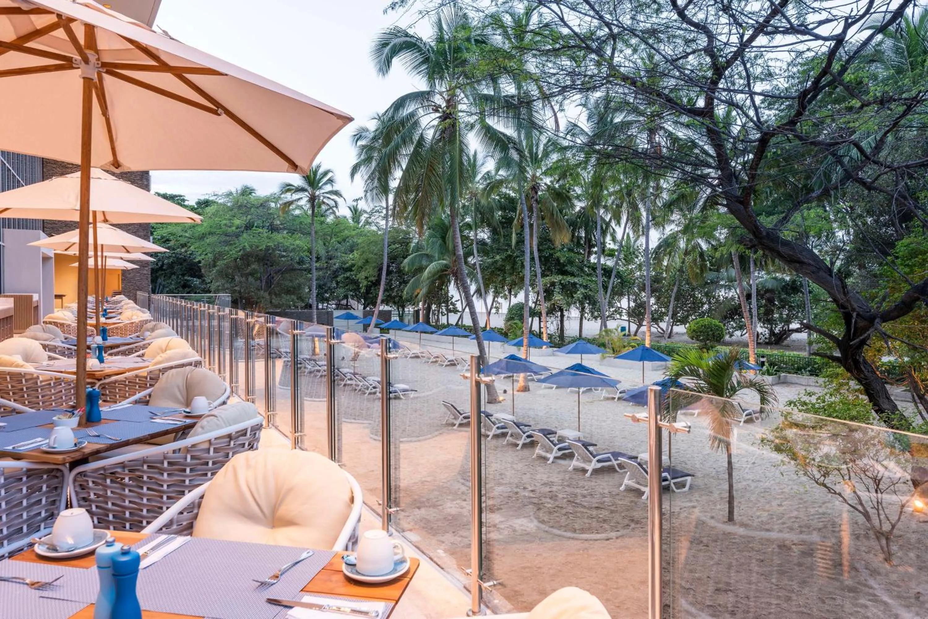 Restaurant/places to eat in Hilton Santa Marta