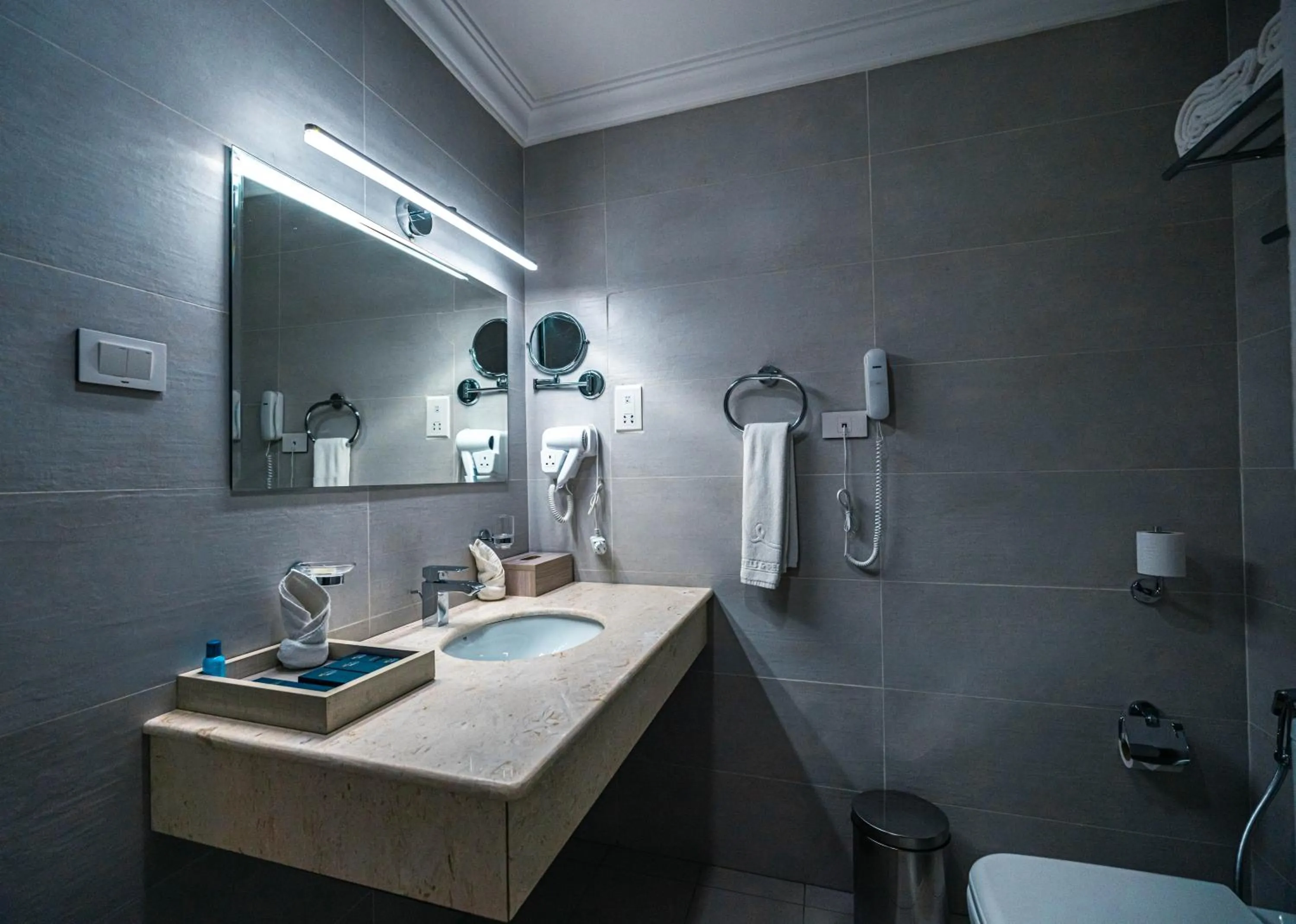 Shower in Haile Grand Addis Ababa