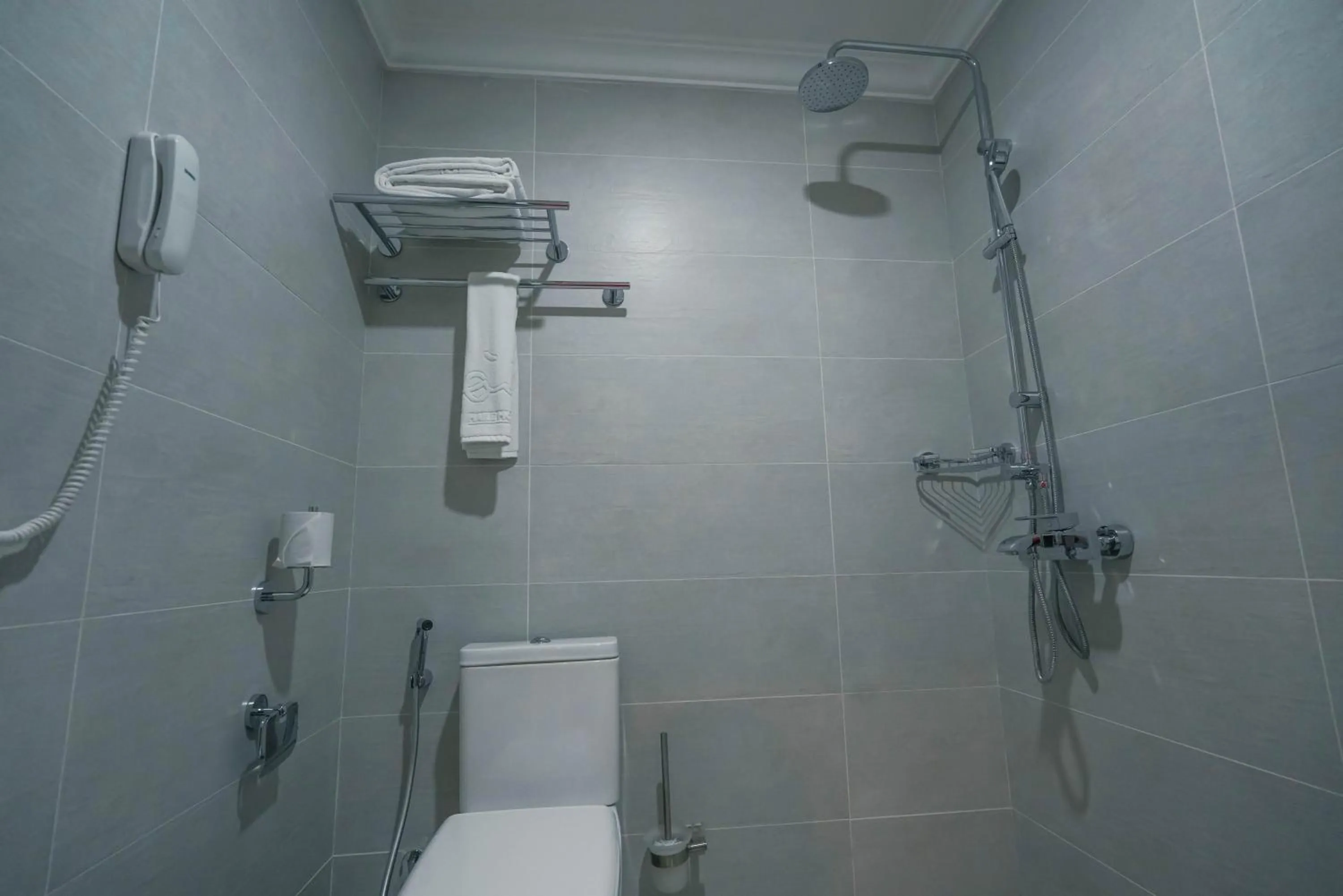 Shower in Haile Grand Addis Ababa