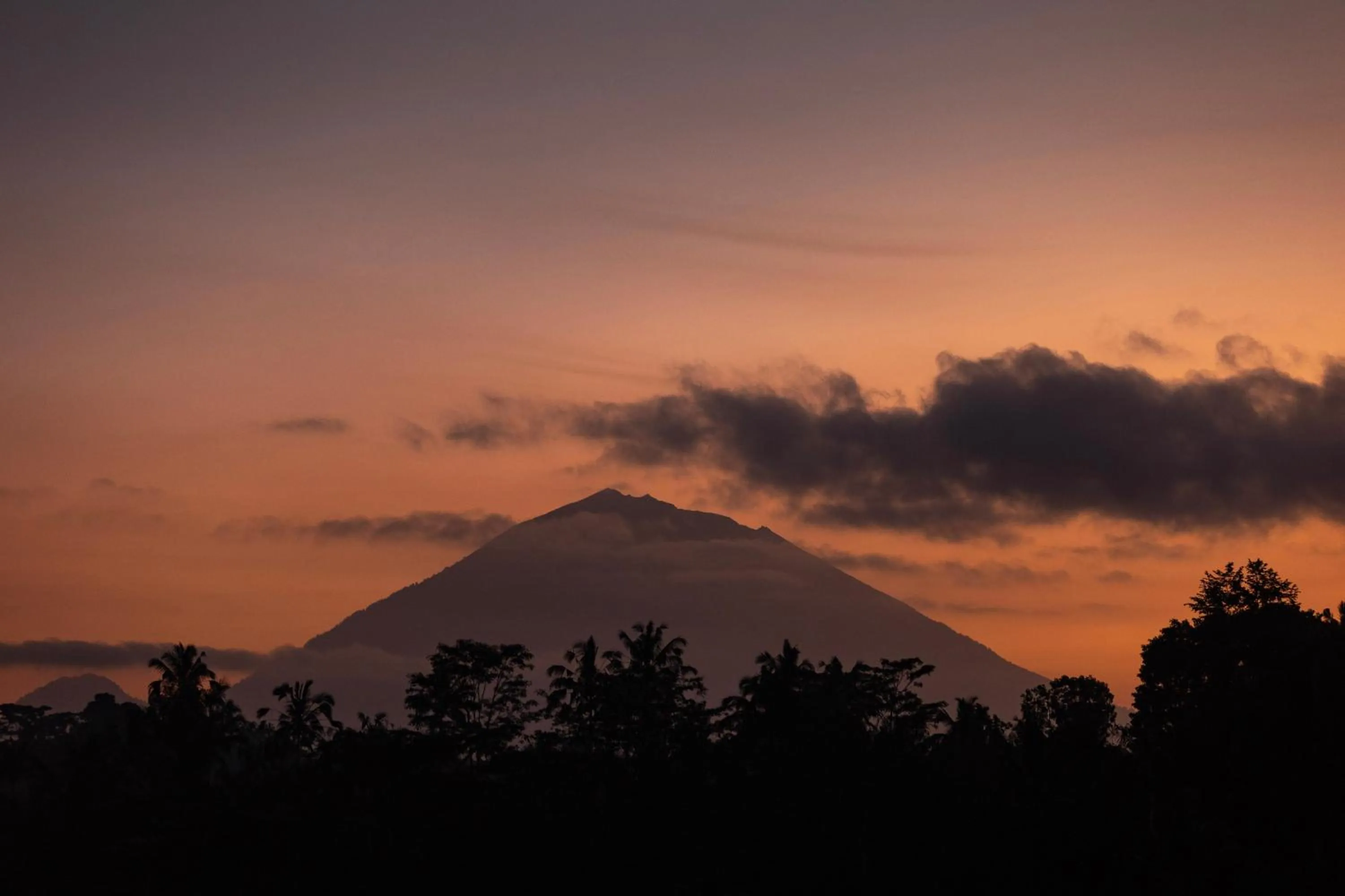 View (from property/room) in Anantara Ubud Bali Resort
