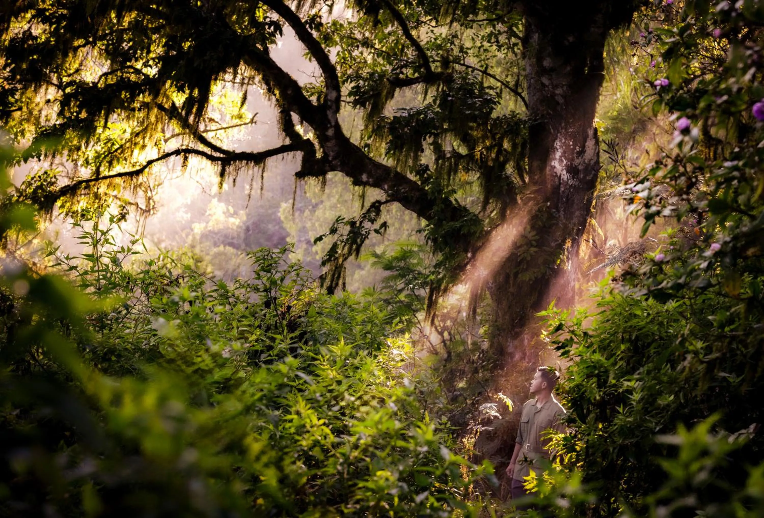 Activities in Anantara Ubud Bali Resort