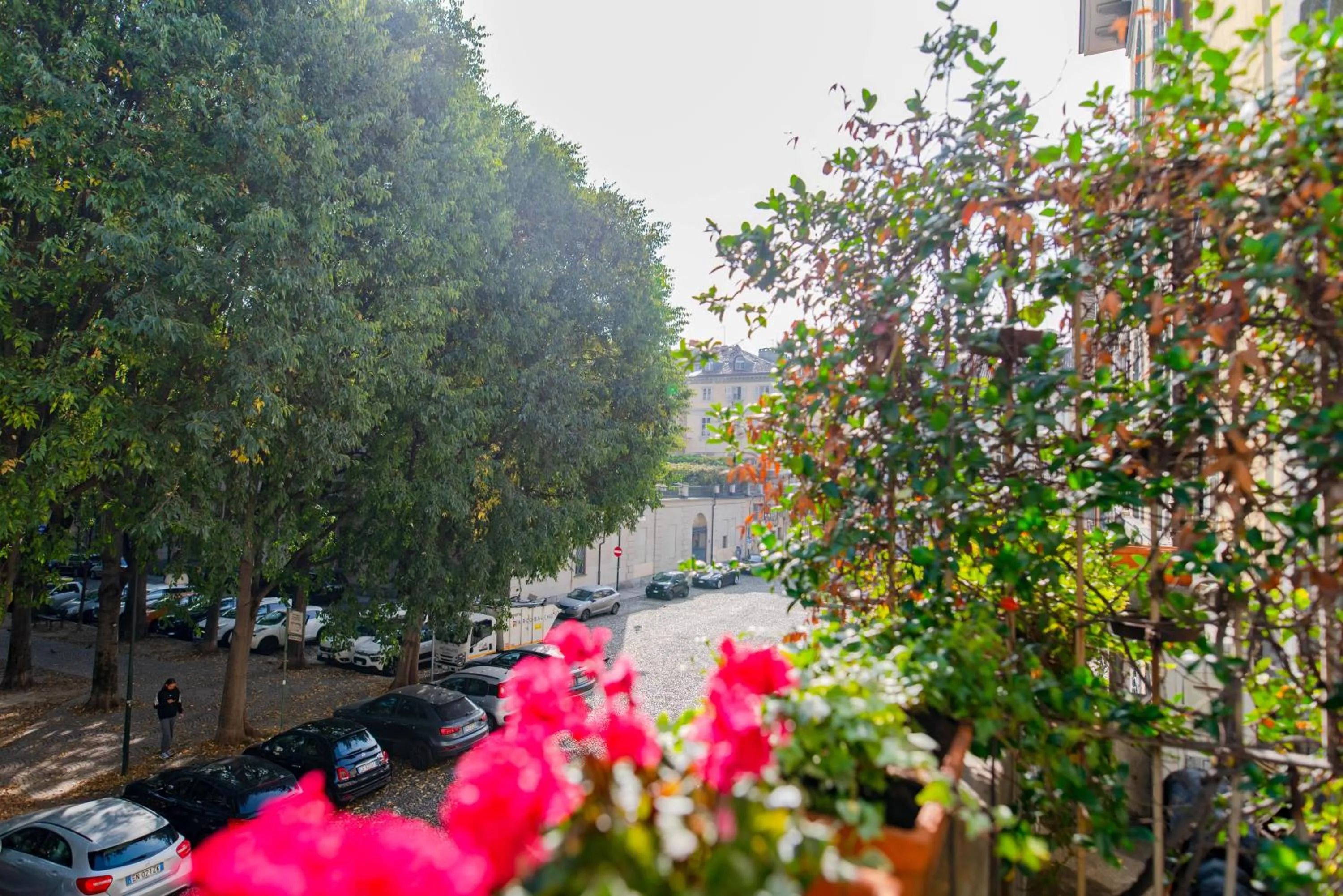 Street view in The Queen, AC, Parking by HAPPYHOSTORINO