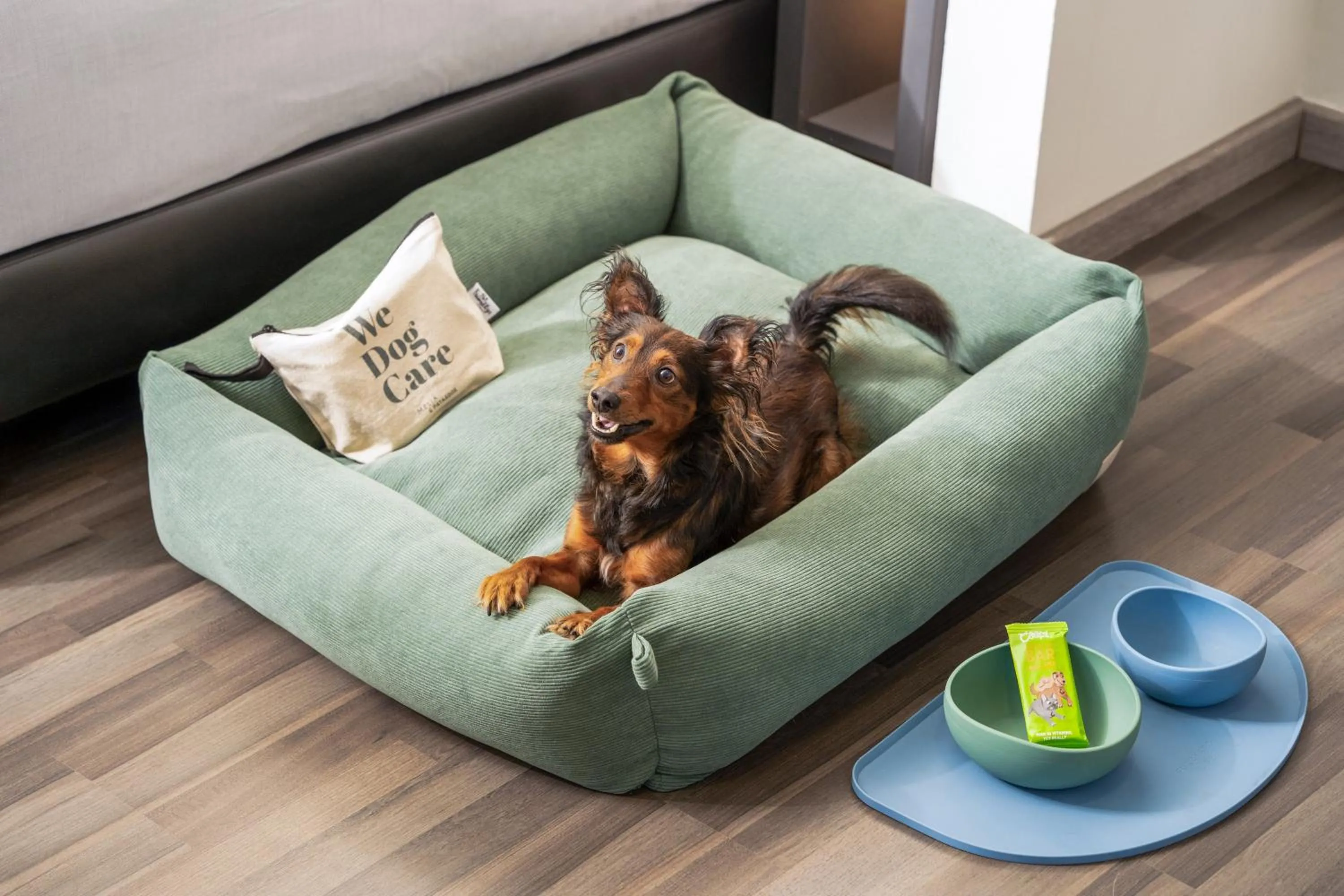 Animals in Hotel Elche Centro , affiliated by Melia