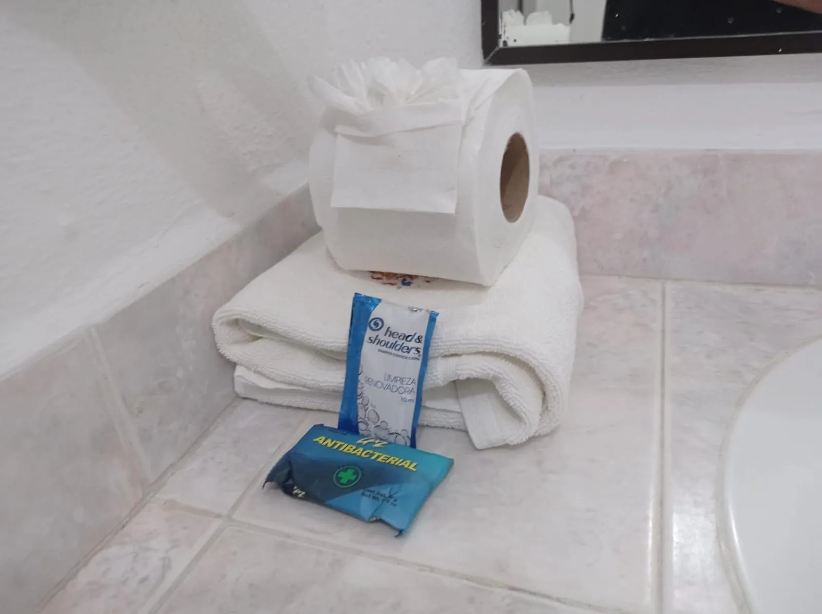 Bathroom in Hotel Los Leones