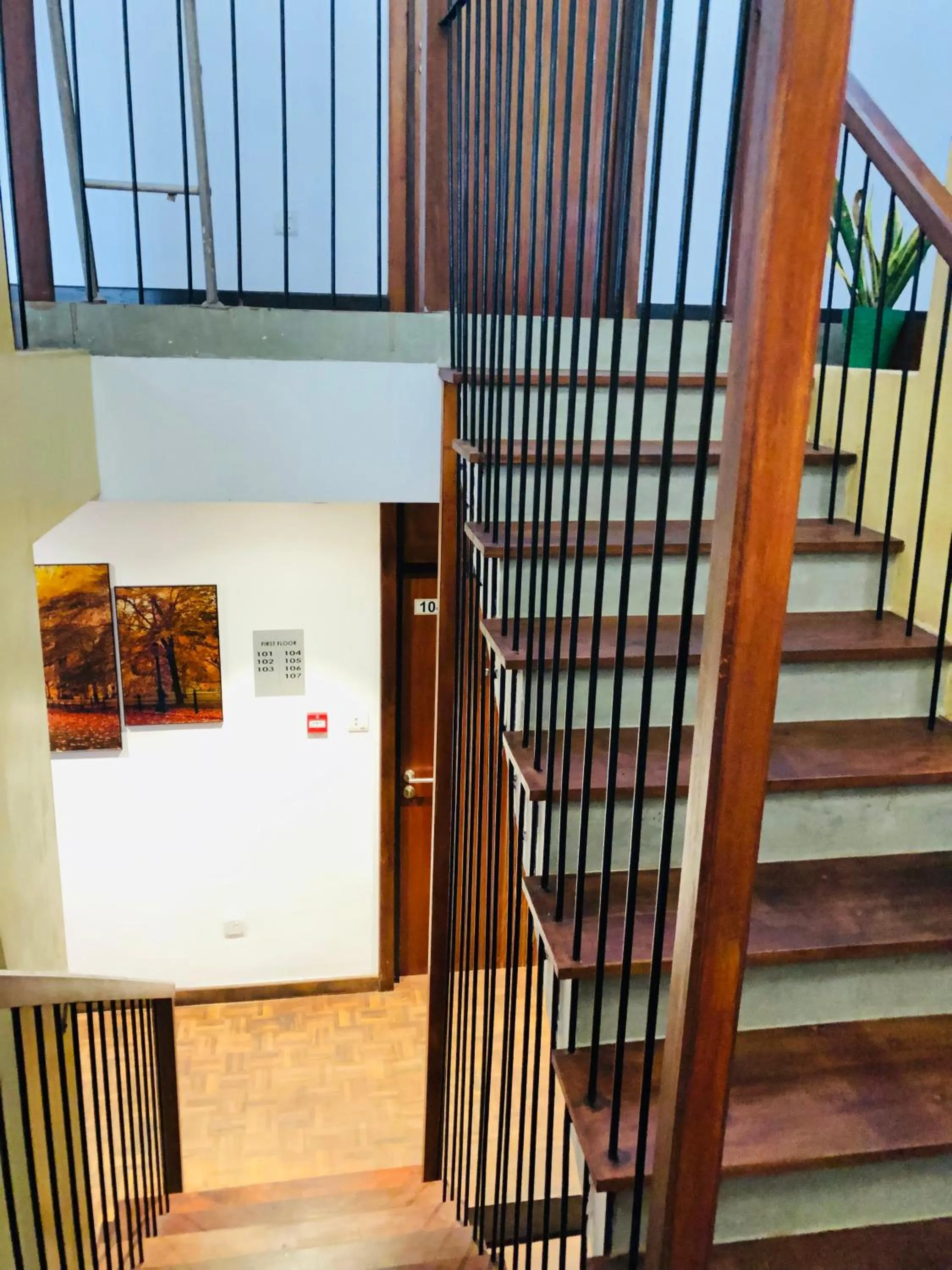 Property building in Tropic Inn - Mount Lavinia