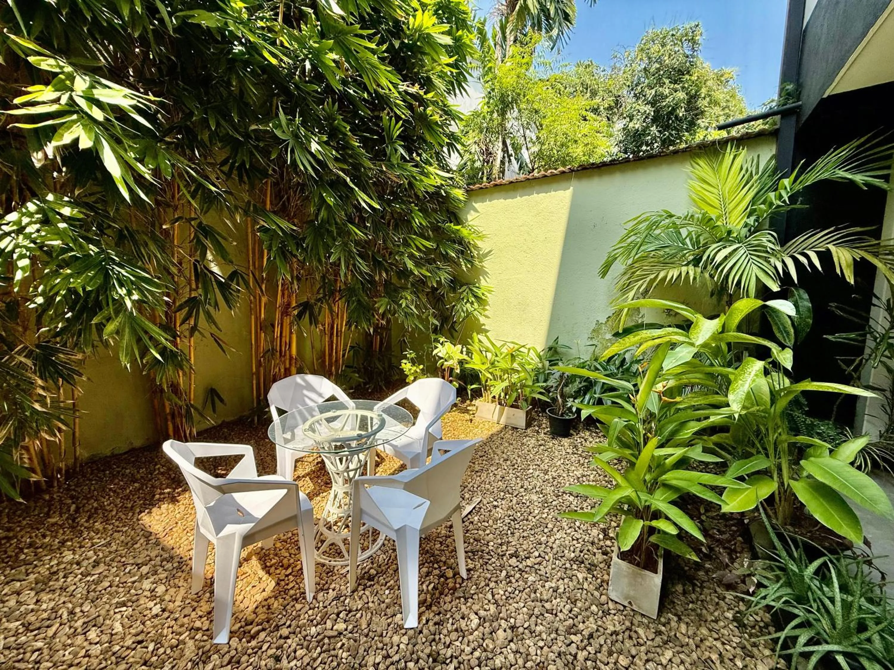 Garden in Tropic Inn - Mount Lavinia