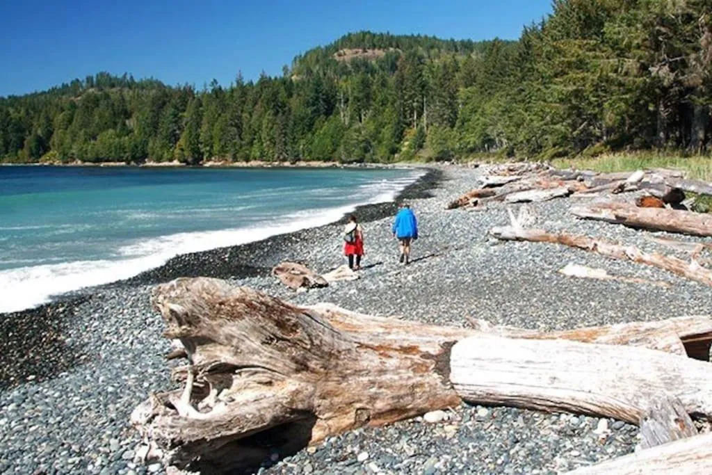 Day in Seagull Studio Vacation Suite