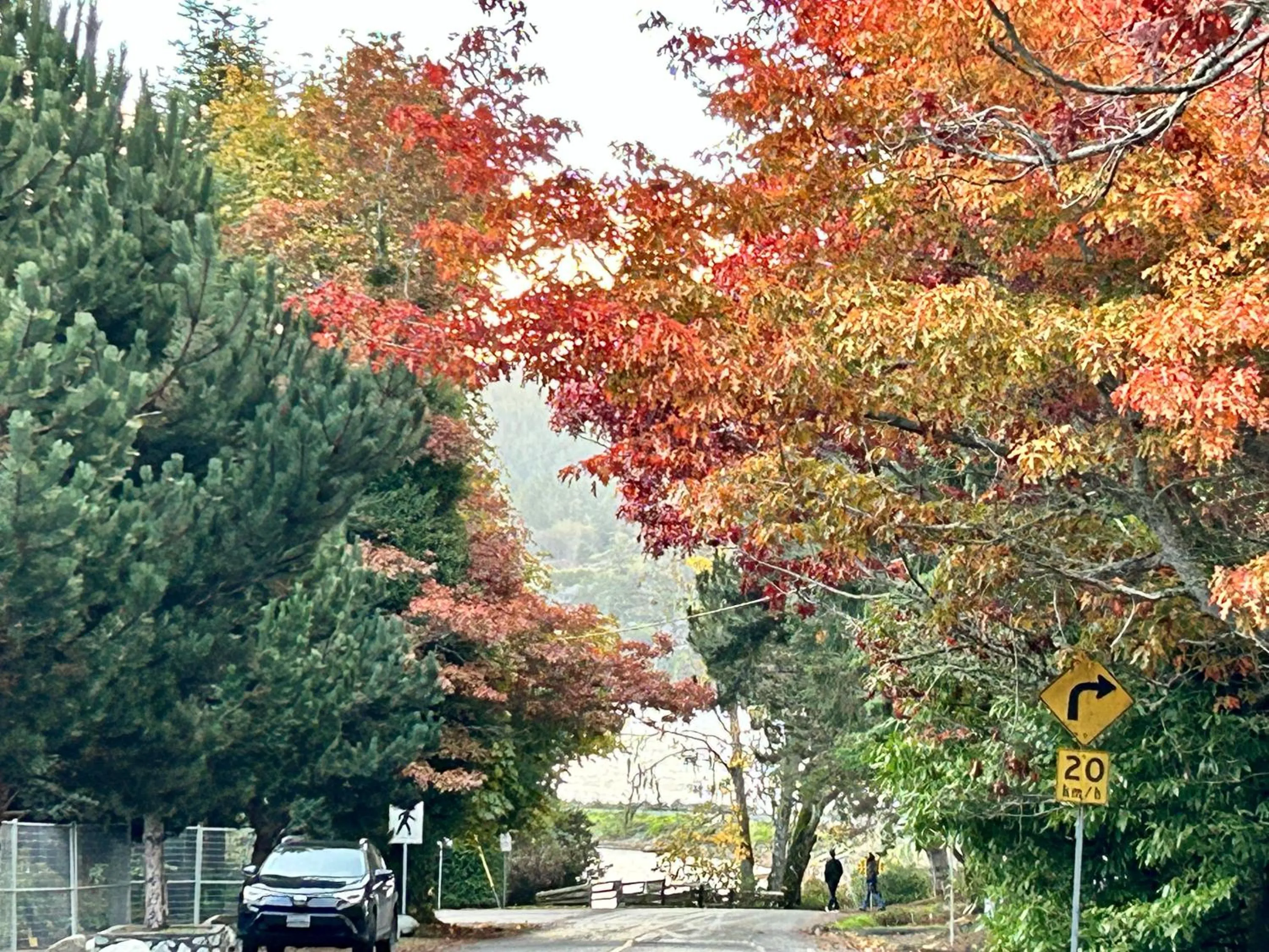 Day in Seagull Studio Vacation Suite