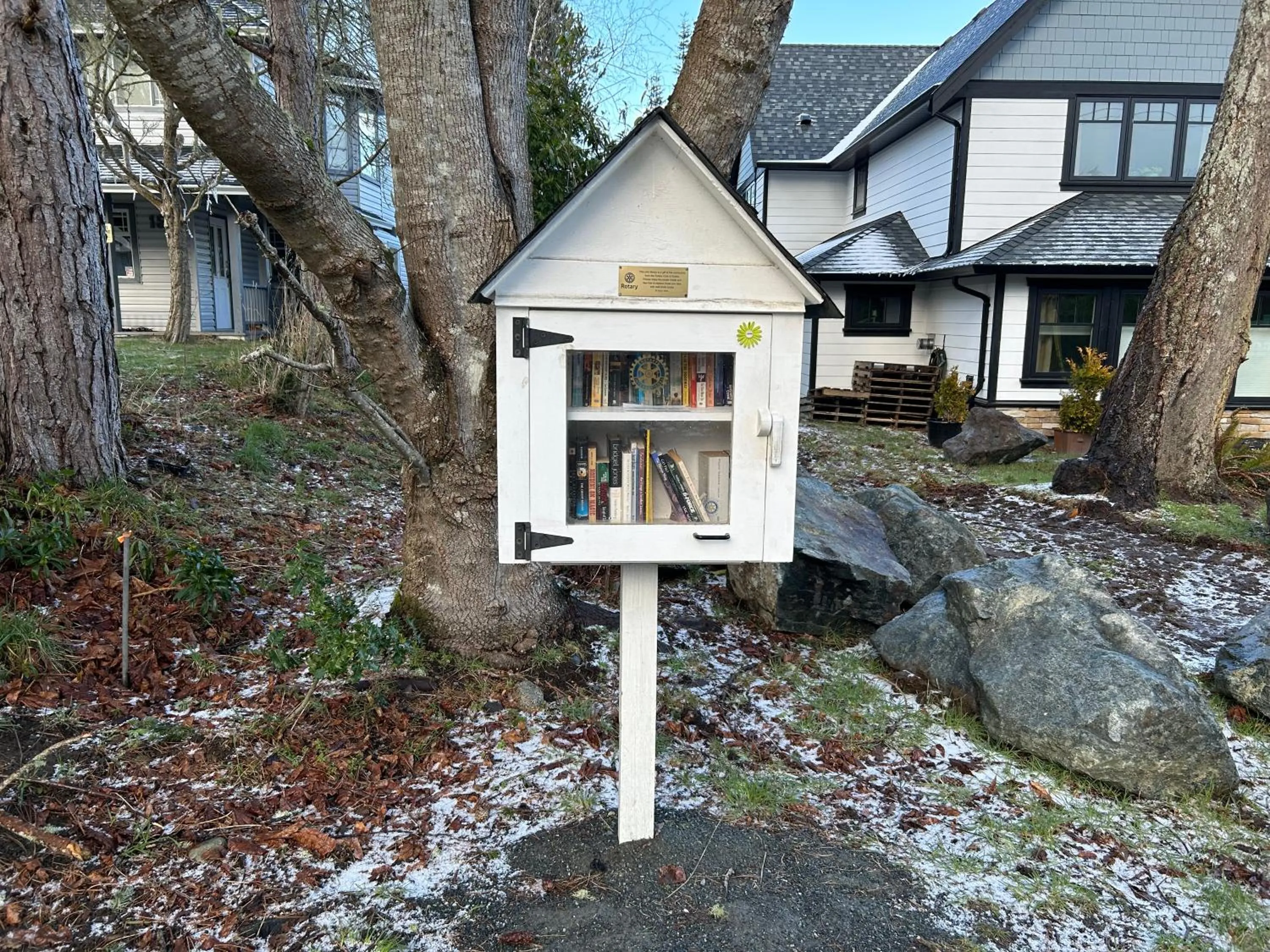 Library in Seagull Studio Vacation Suite