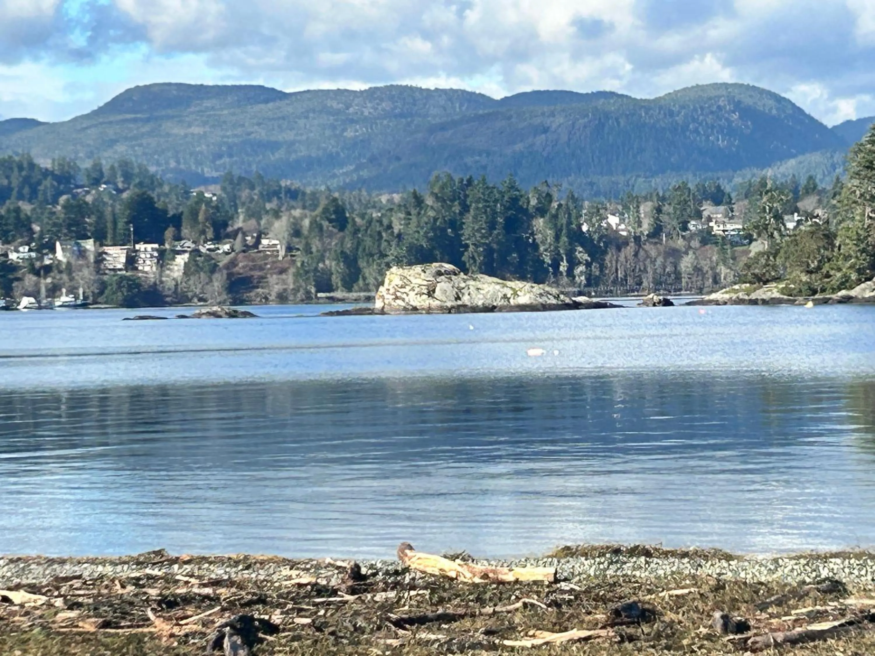 Other in Seagull Studio Vacation Suite