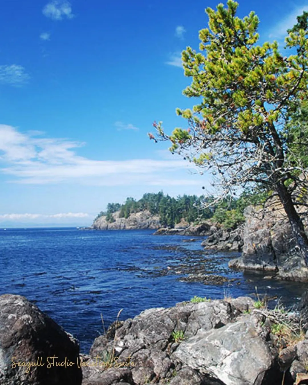 Nearby landmark in Seagull Studio Vacation Suite