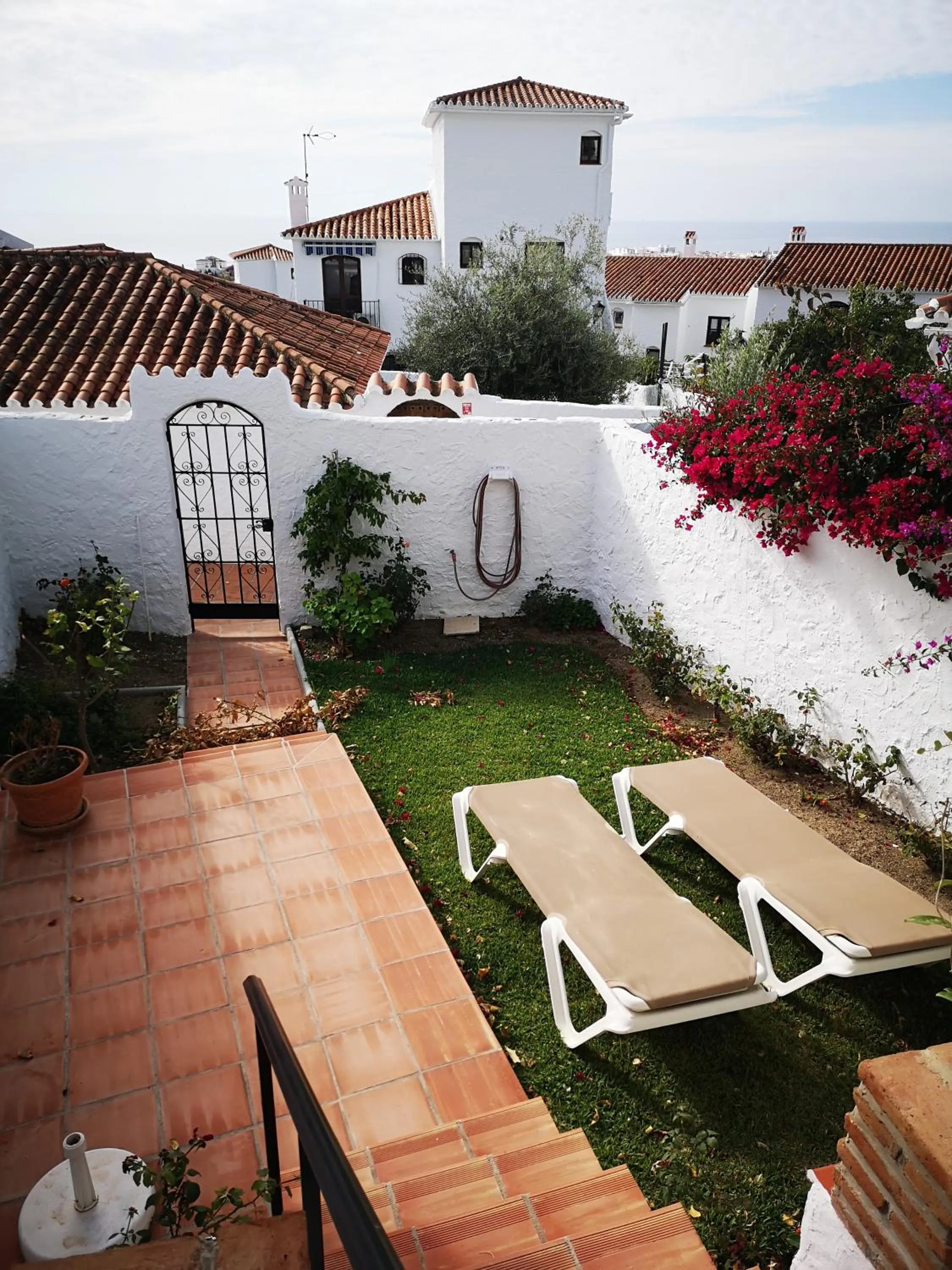 Garden in El Capistrano