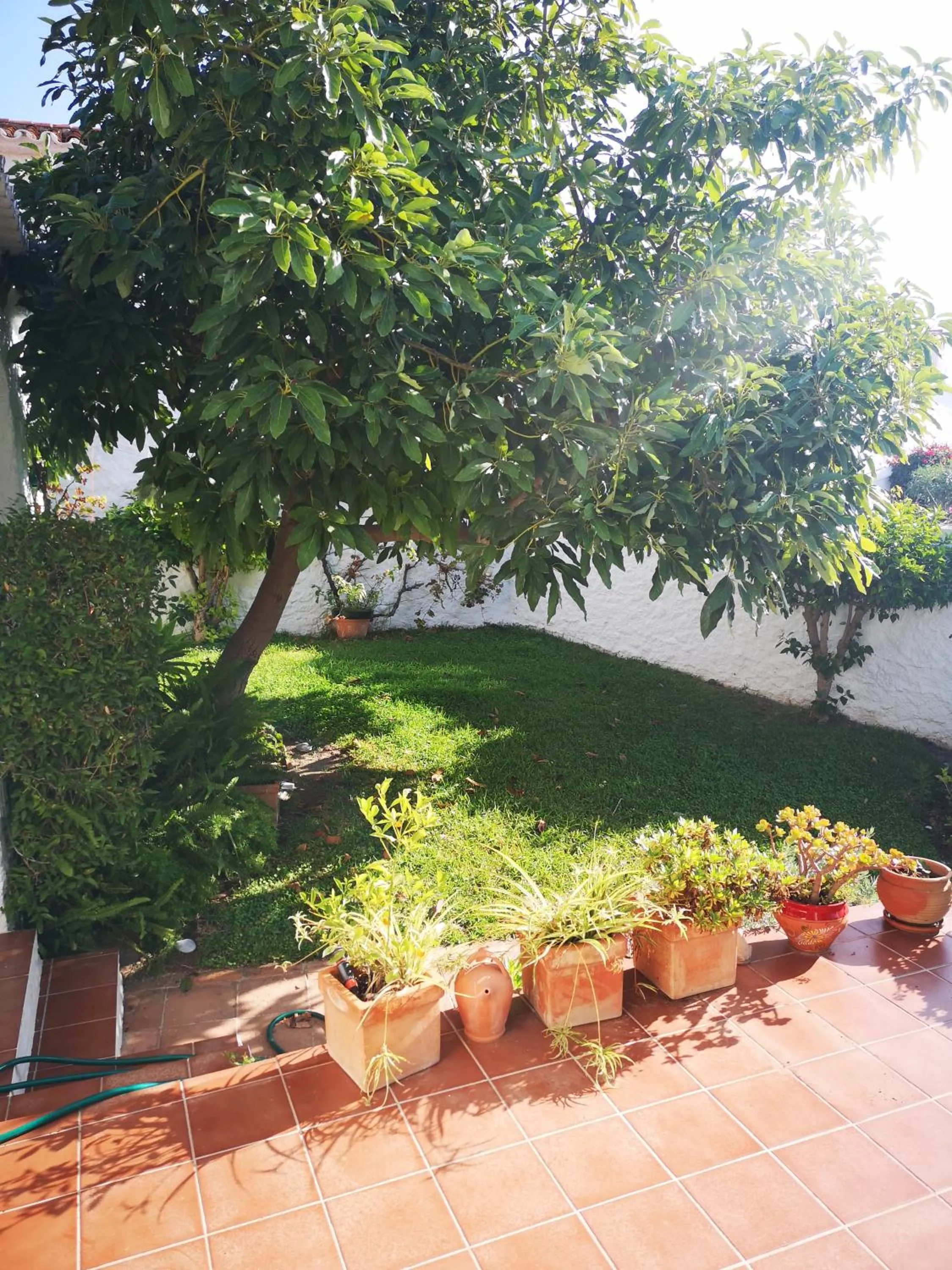 Garden in El Capistrano