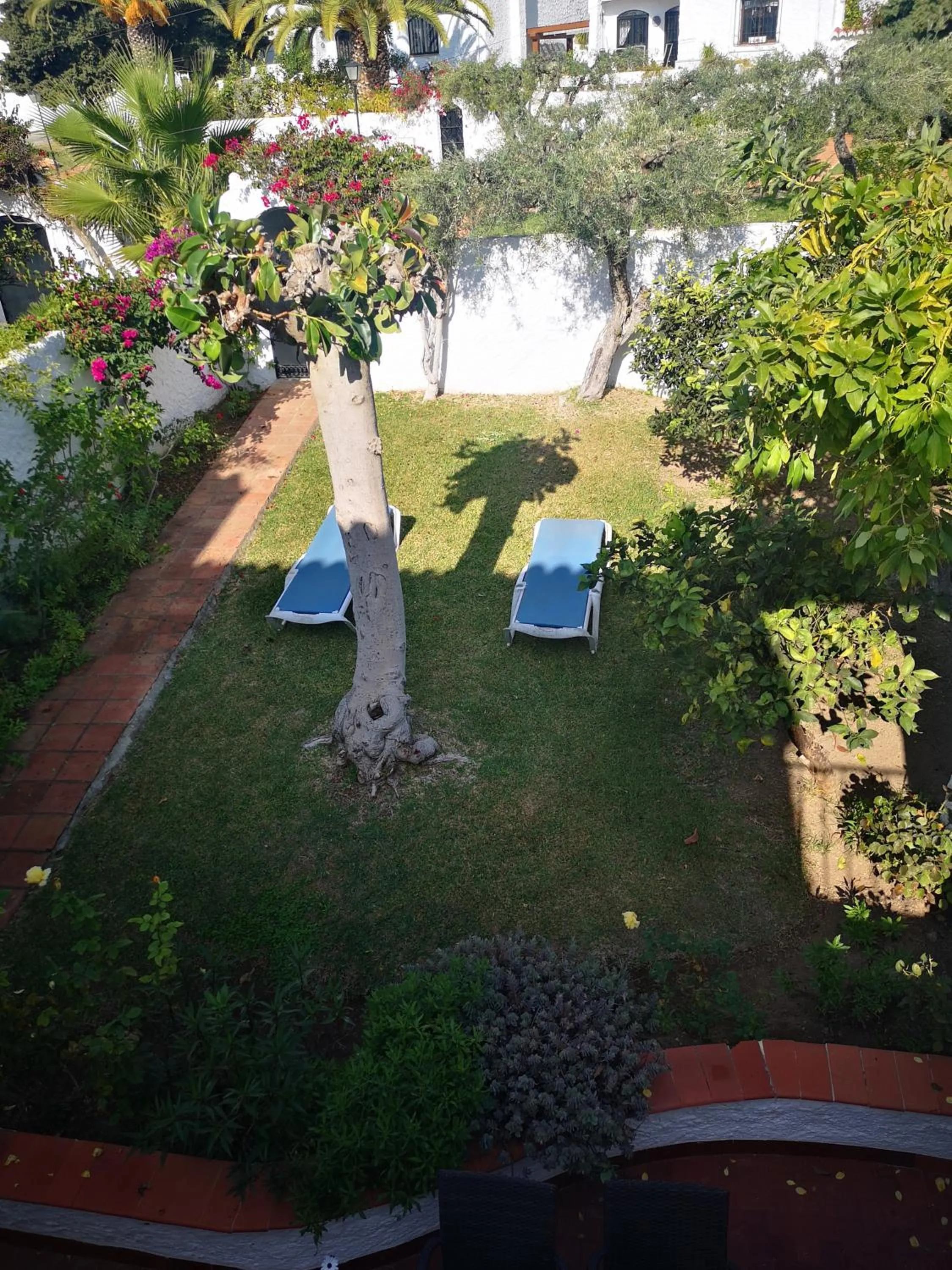Garden view in El Capistrano