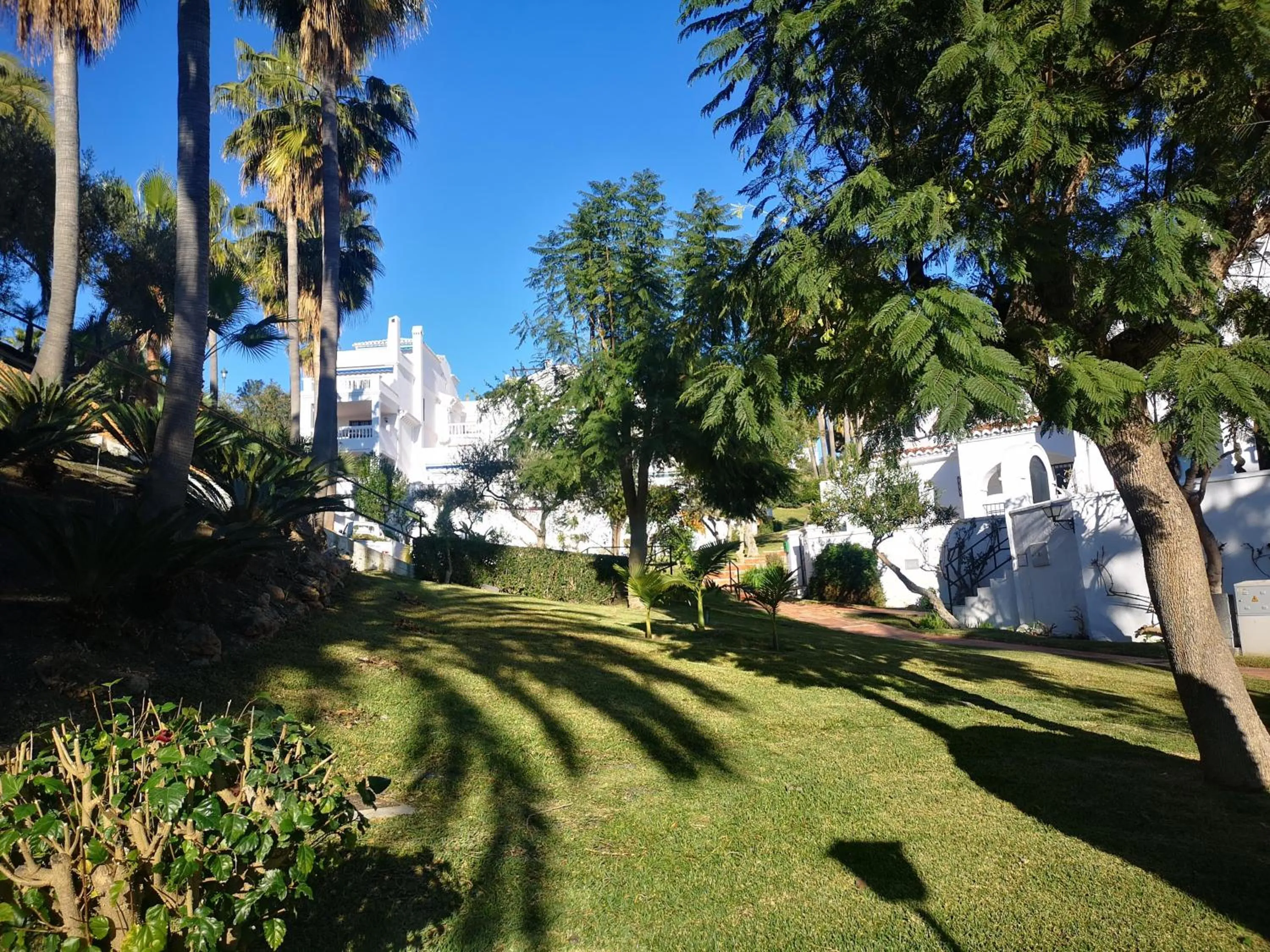 Garden in El Capistrano
