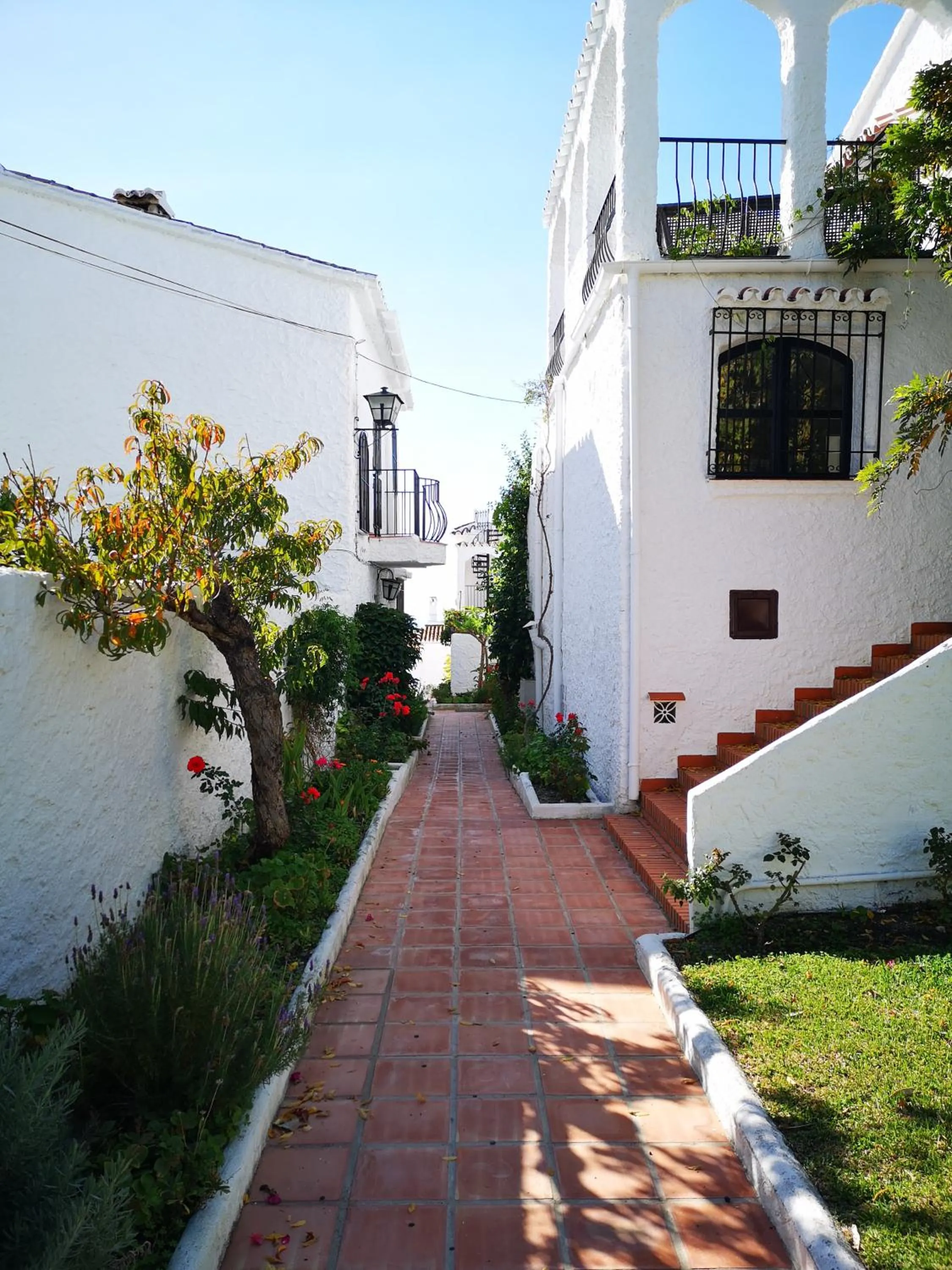 Garden view in El Capistrano