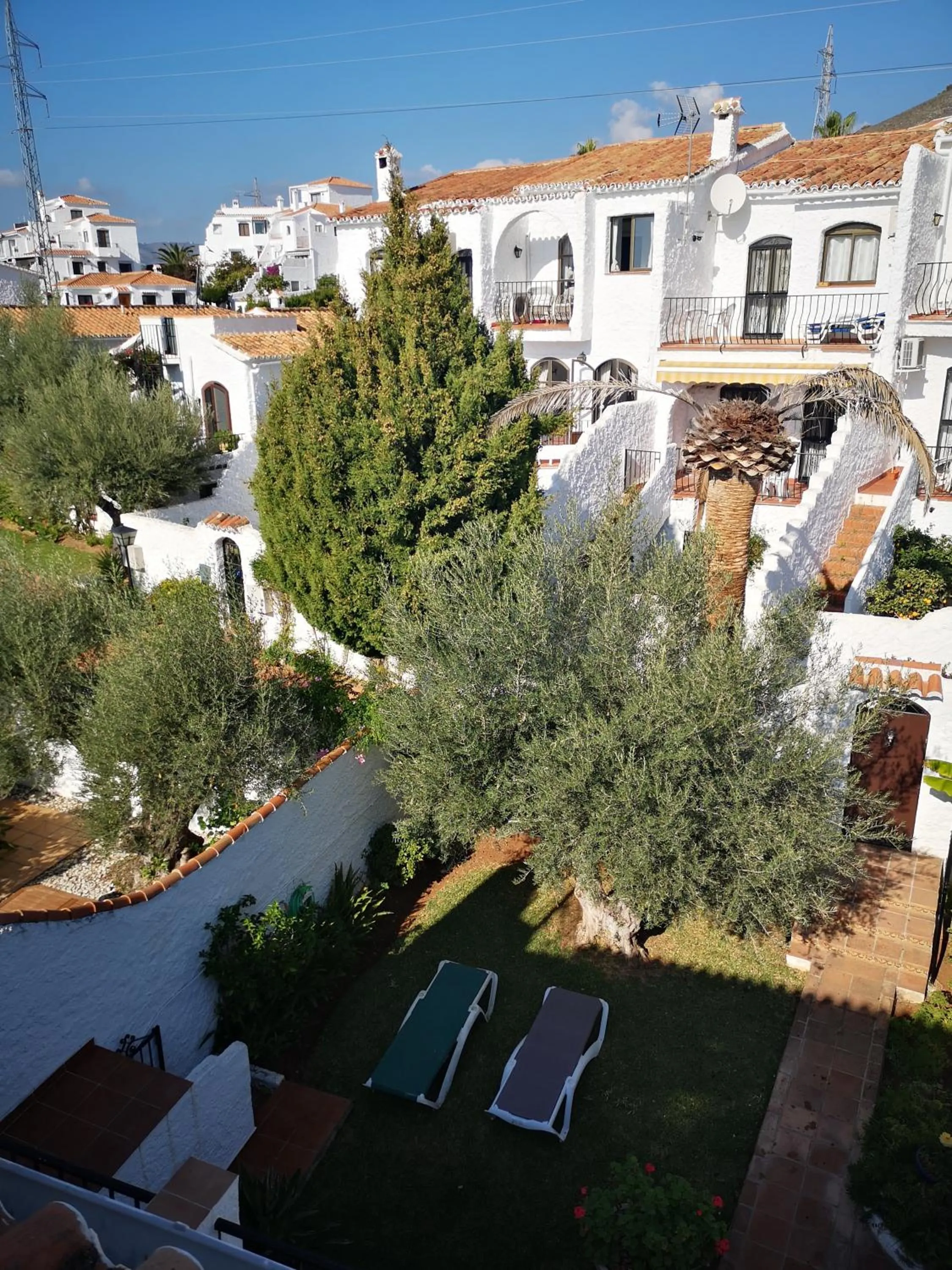 Garden view in El Capistrano