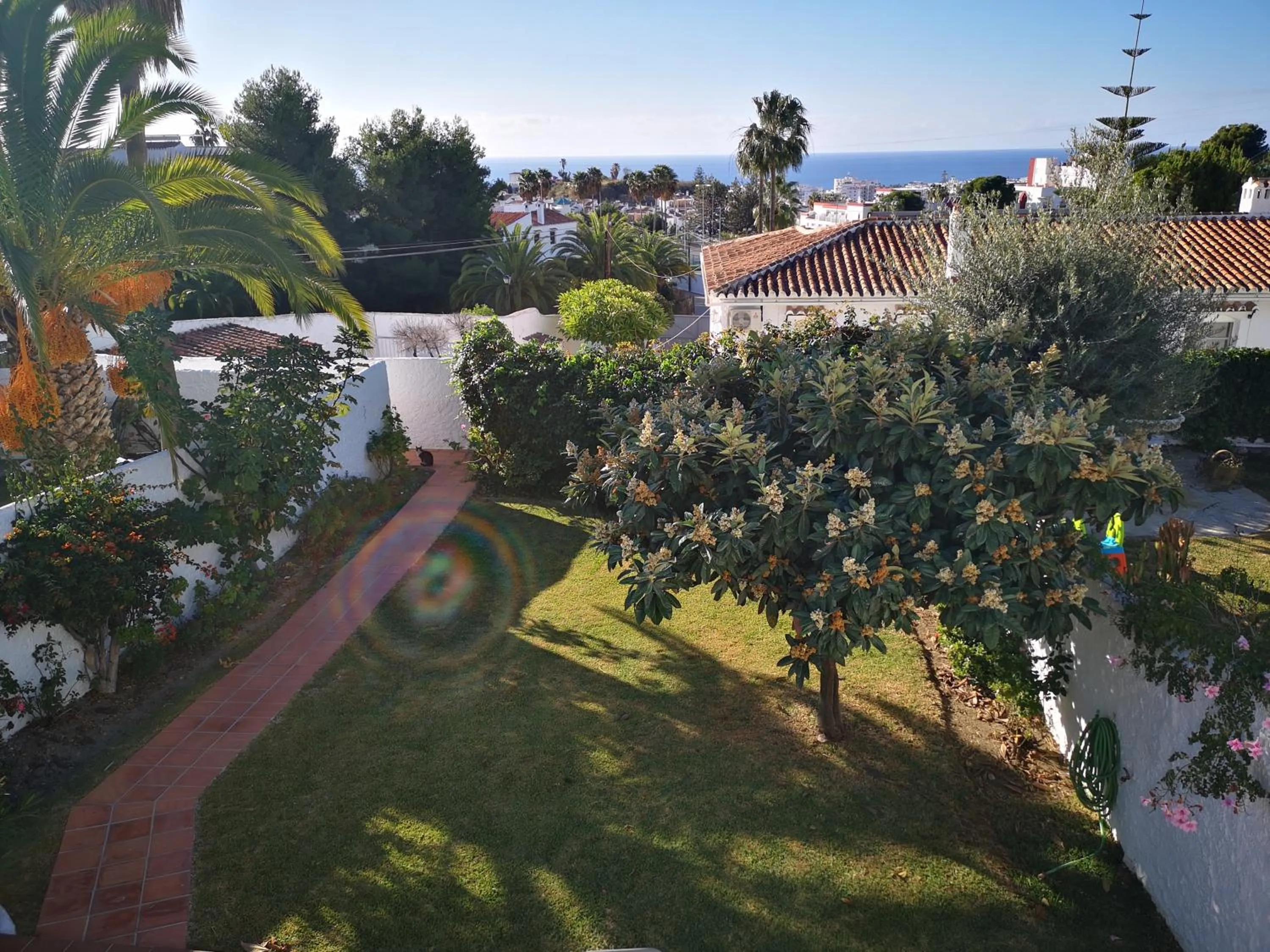 Garden in El Capistrano