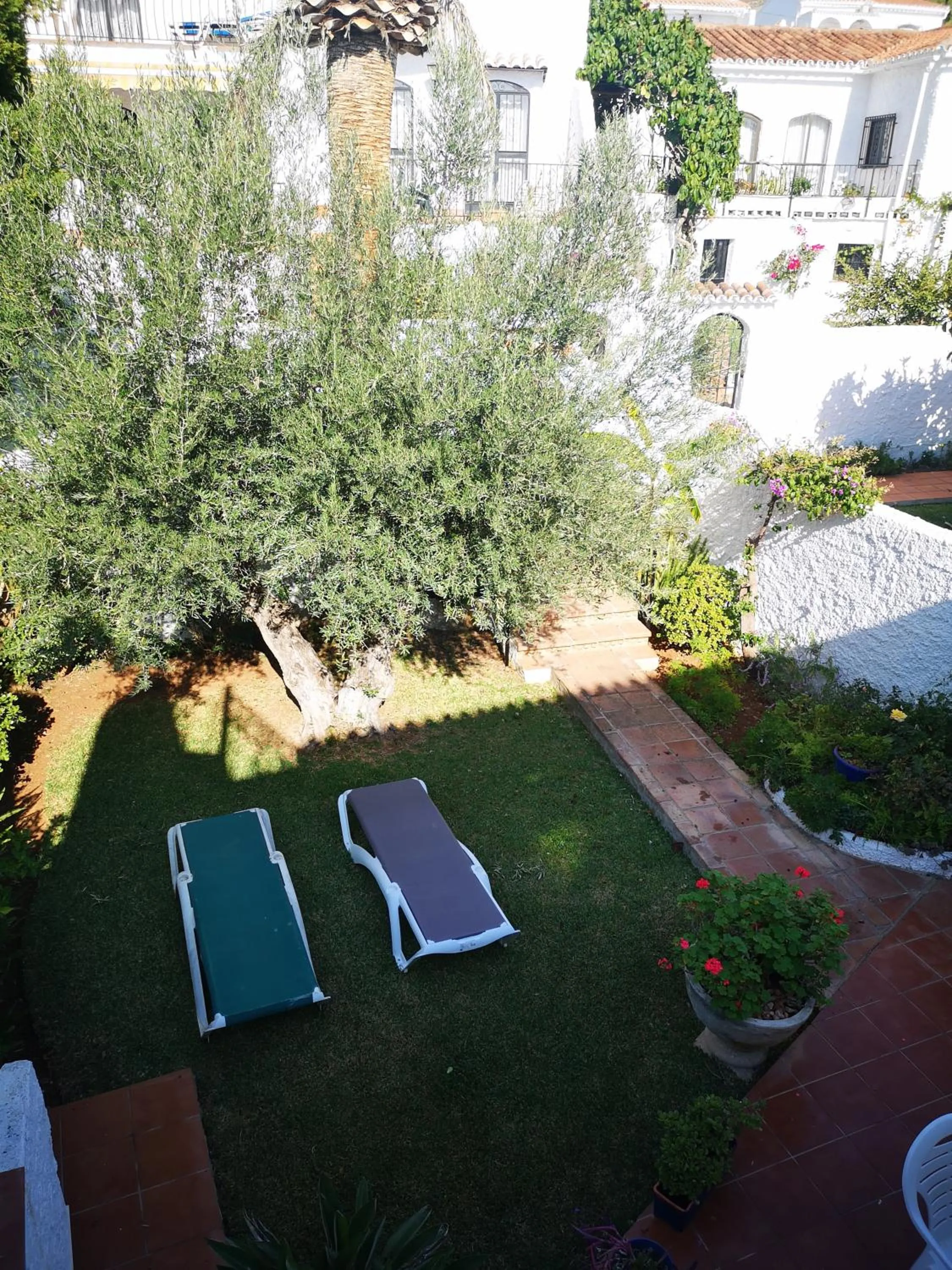 Garden in El Capistrano