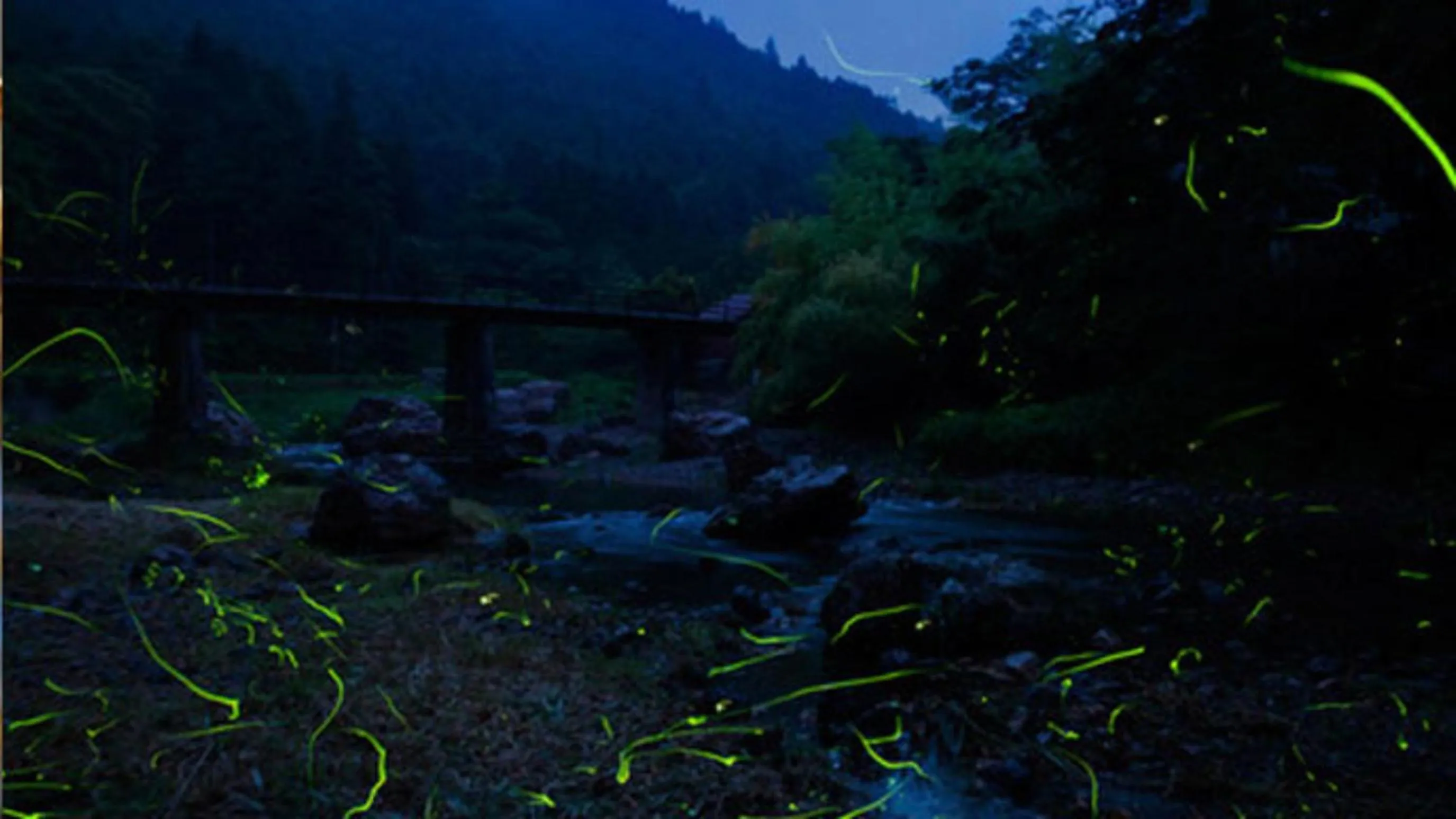 Night in Kyukamura Oku-Musashi