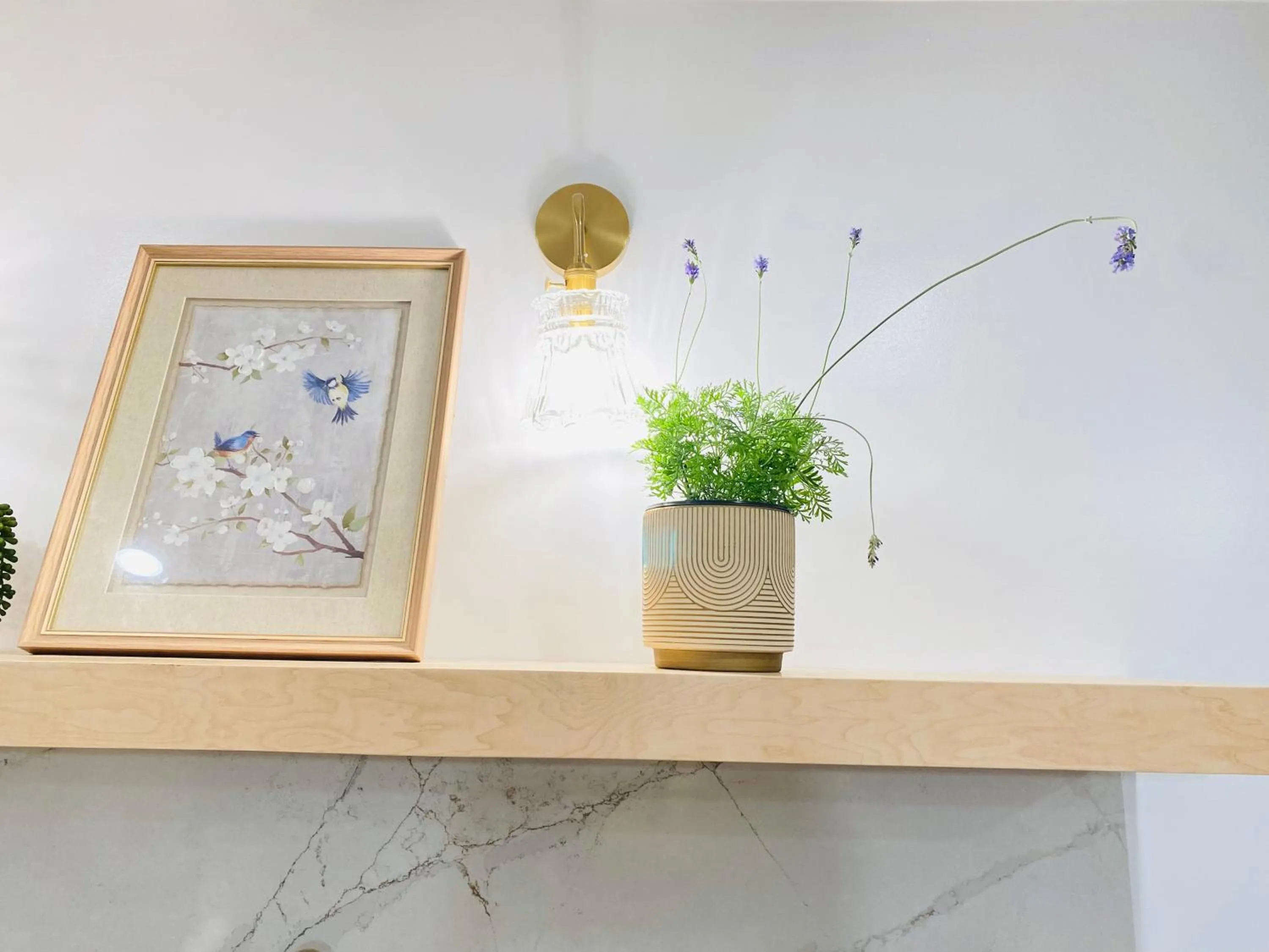 Newly renovated luxury, modern style Waikiki Sunset Hotel Ocean view Freeparking