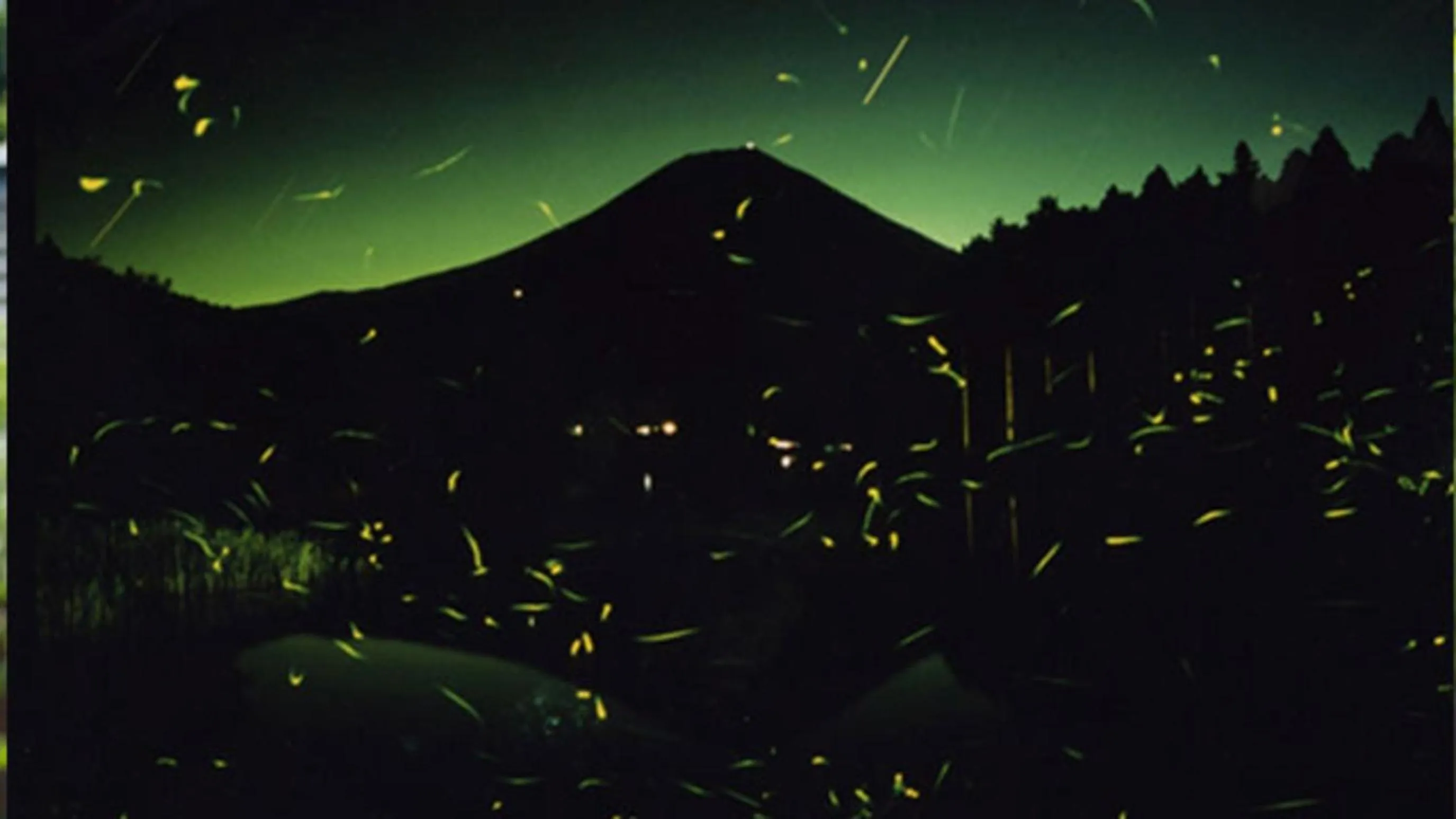 Night in Kyukamura Fuji