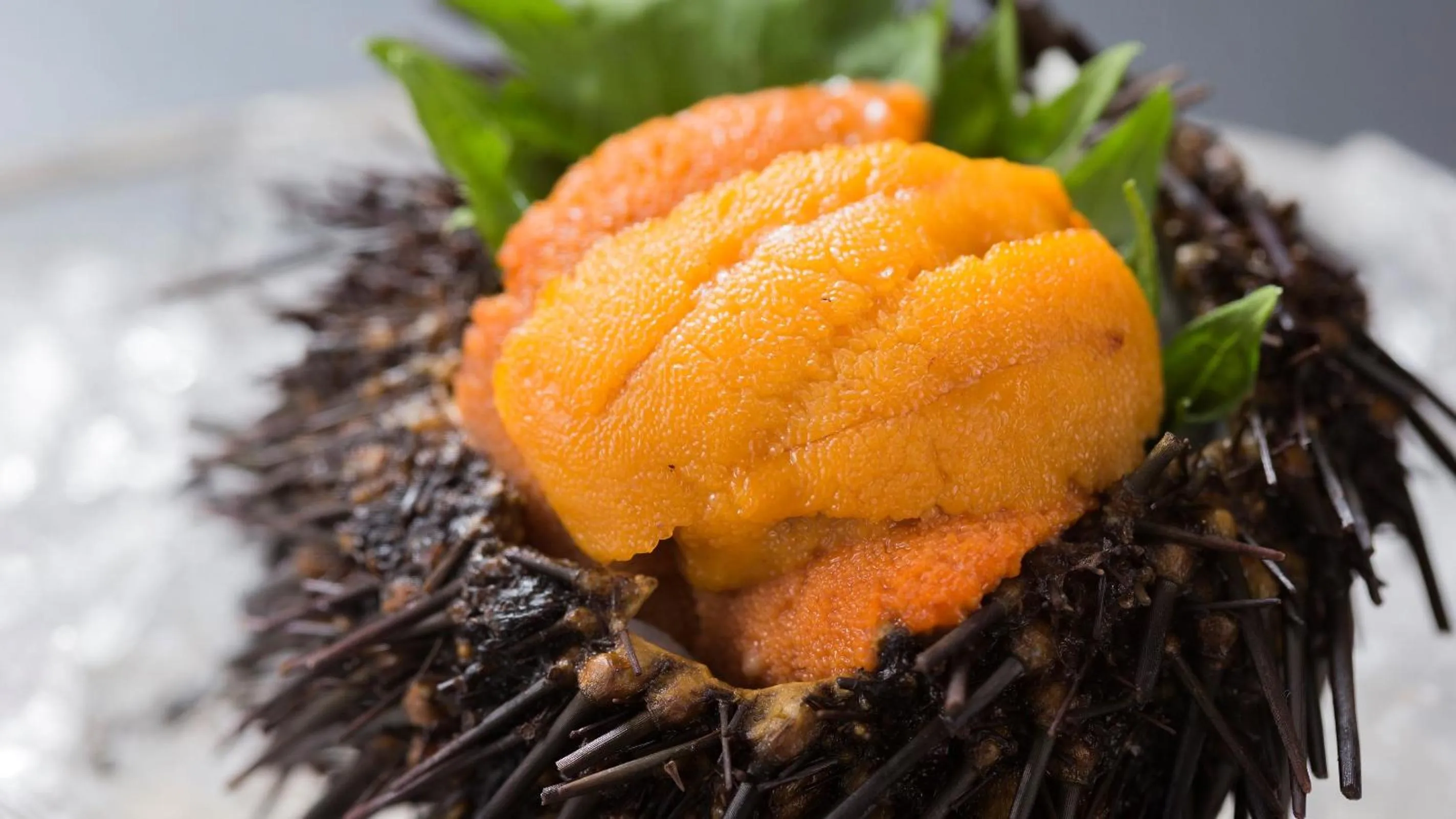 Kyukamura Rikuchu-Miyako