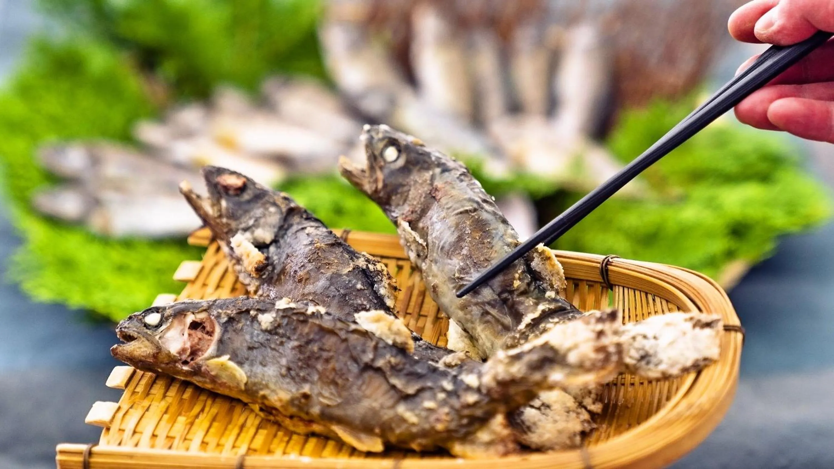 Kyukamura Taishakukyo