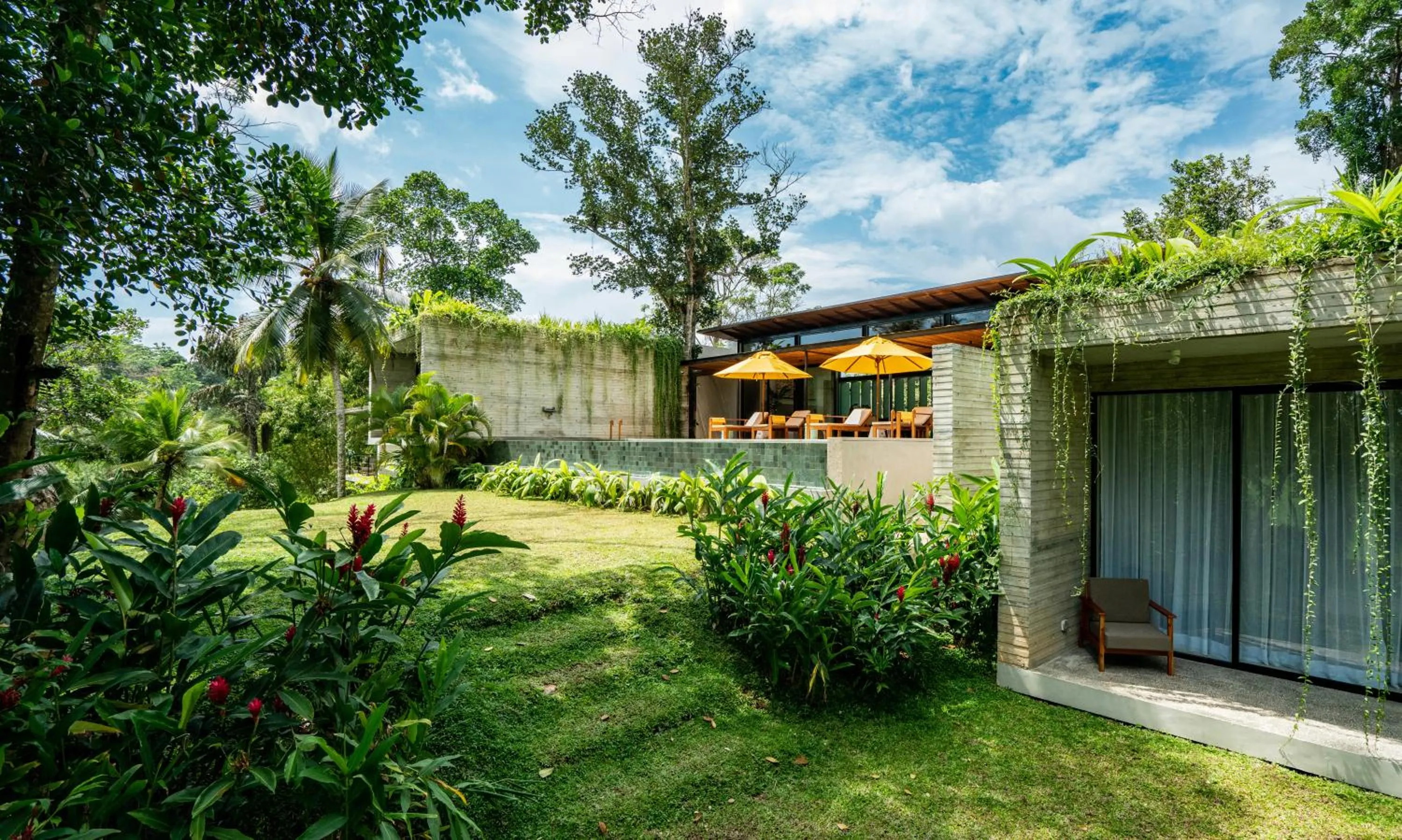 Natural landscape in Villa Alba - Ahangama