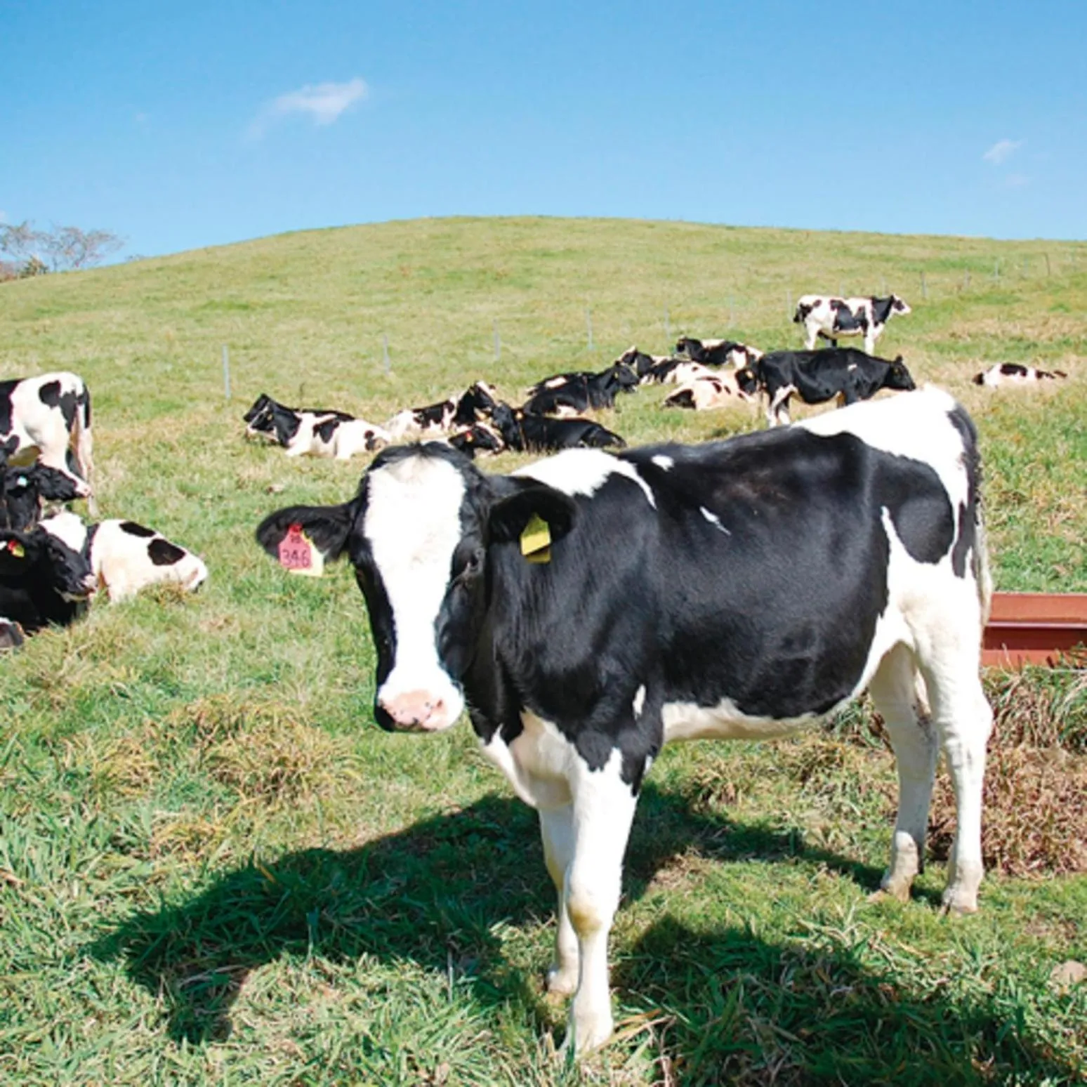Kyukamura Chausuyama-Kogen