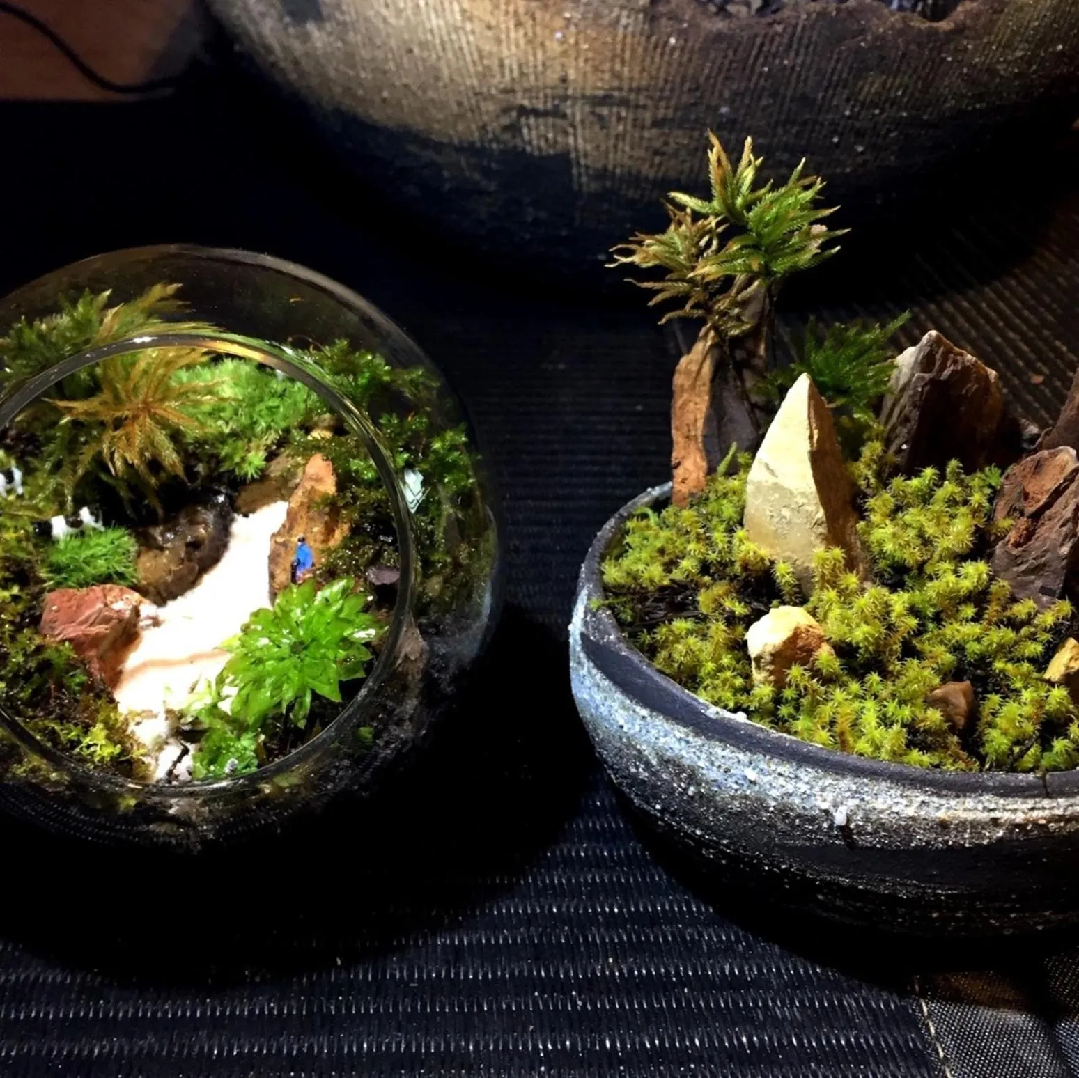 Kyukamura Chausuyama-Kogen