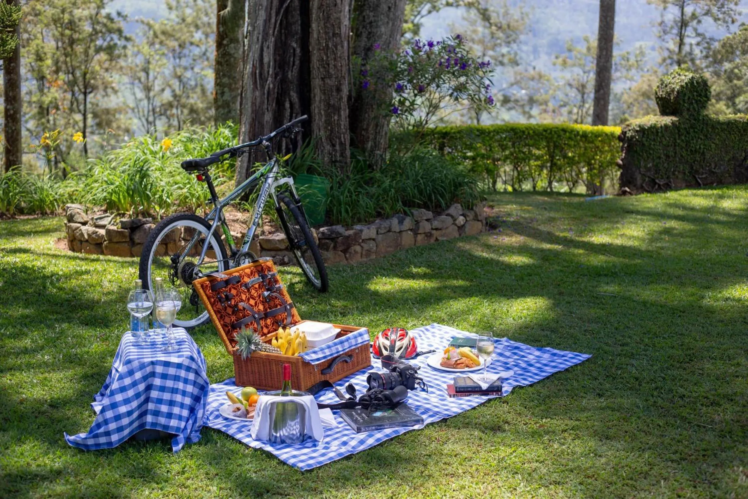 Cycling in Ceylon Tea Trails - Relais and Chateaux - All Inclusive