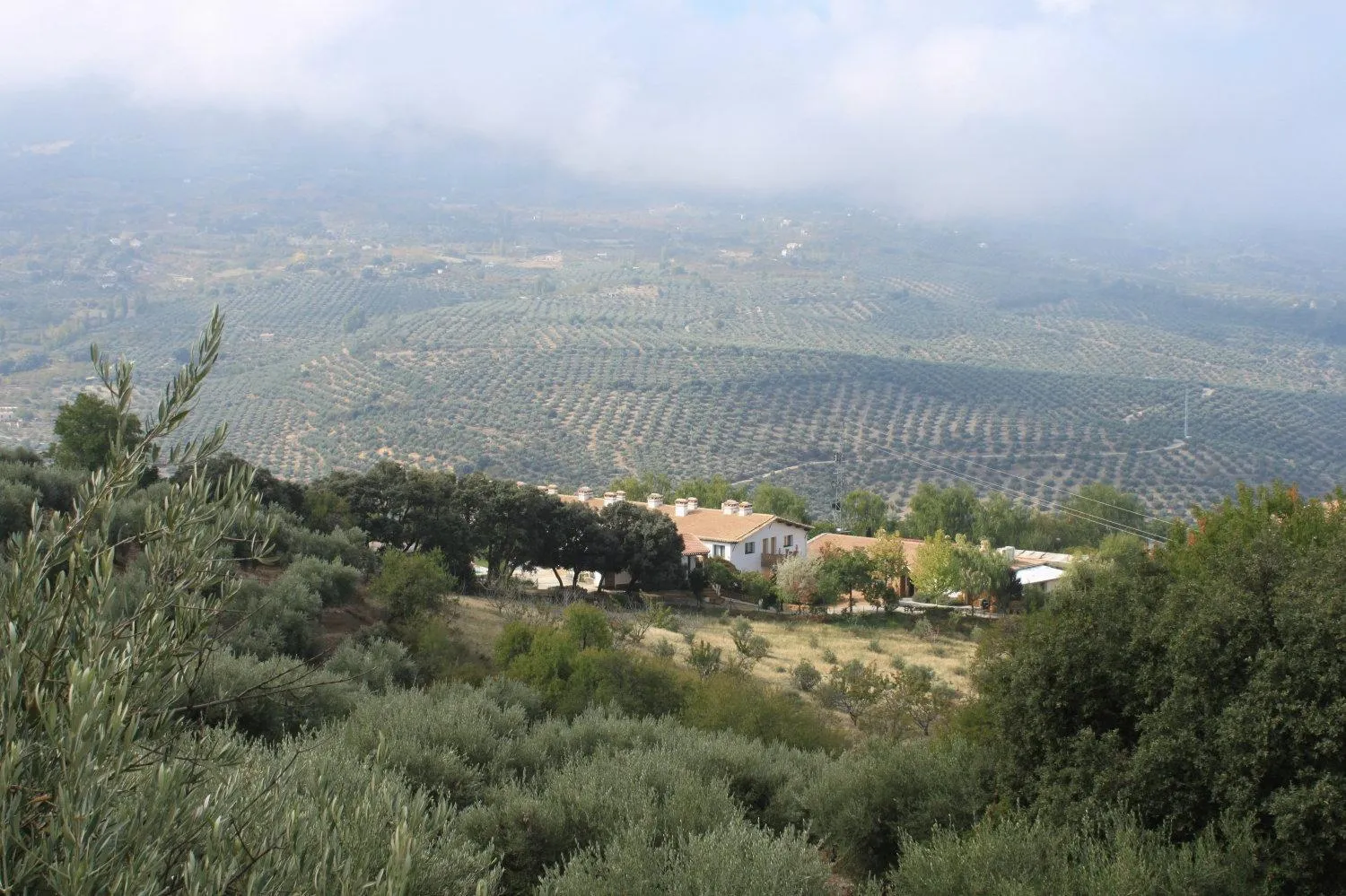 Bird's eye view in Hotel Rural Puerto Mágina