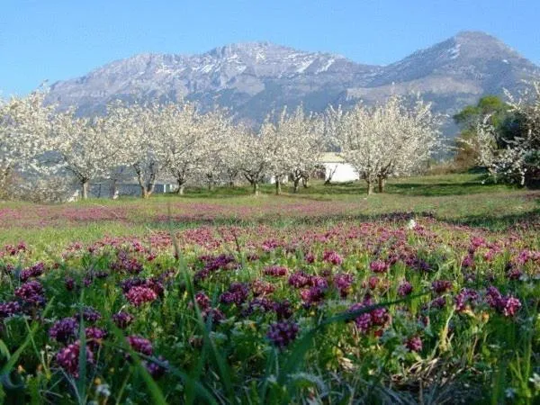 Area and facilities in Hotel Rural Puerto Mágina
