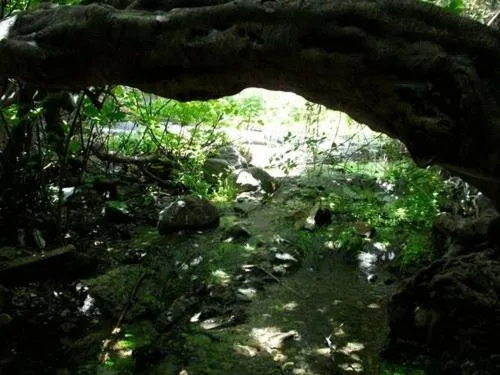 Area and facilities in Hotel Rural Puerto Mágina