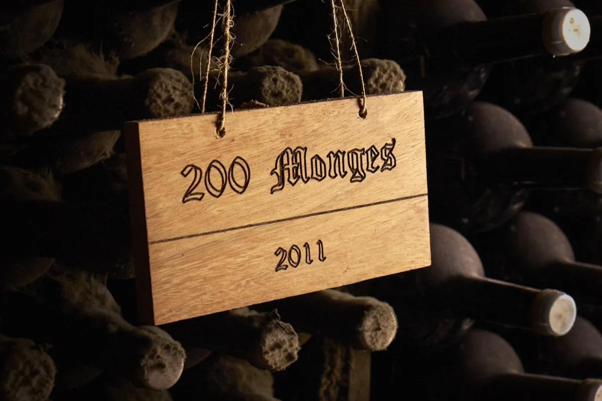 Activities in Hotel Vinícola Real-200 Monges