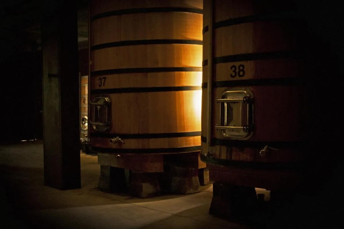 Area and facilities in Hotel Vinícola Real-200 Monges