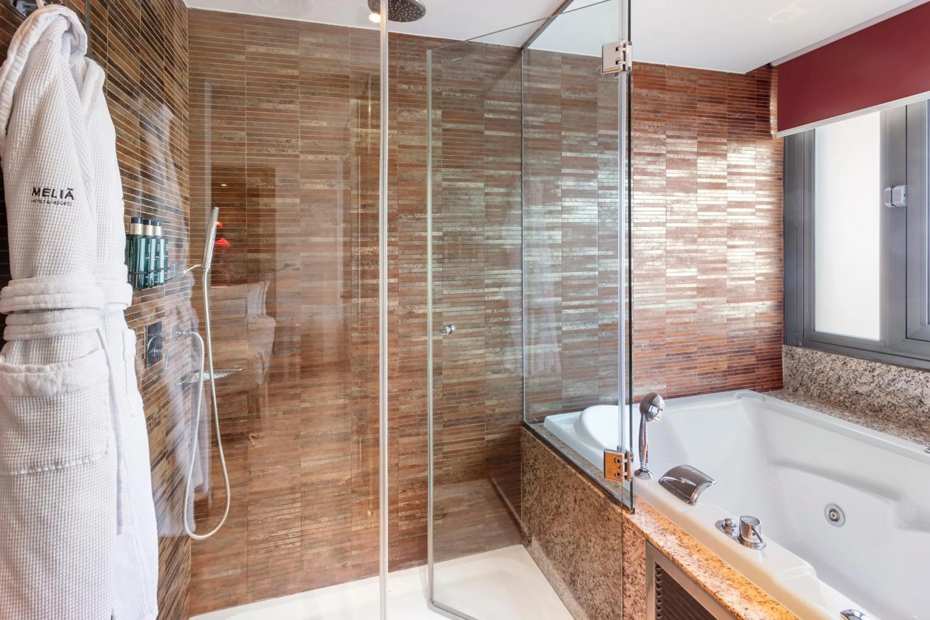 Shower in Melia Madrid Princesa