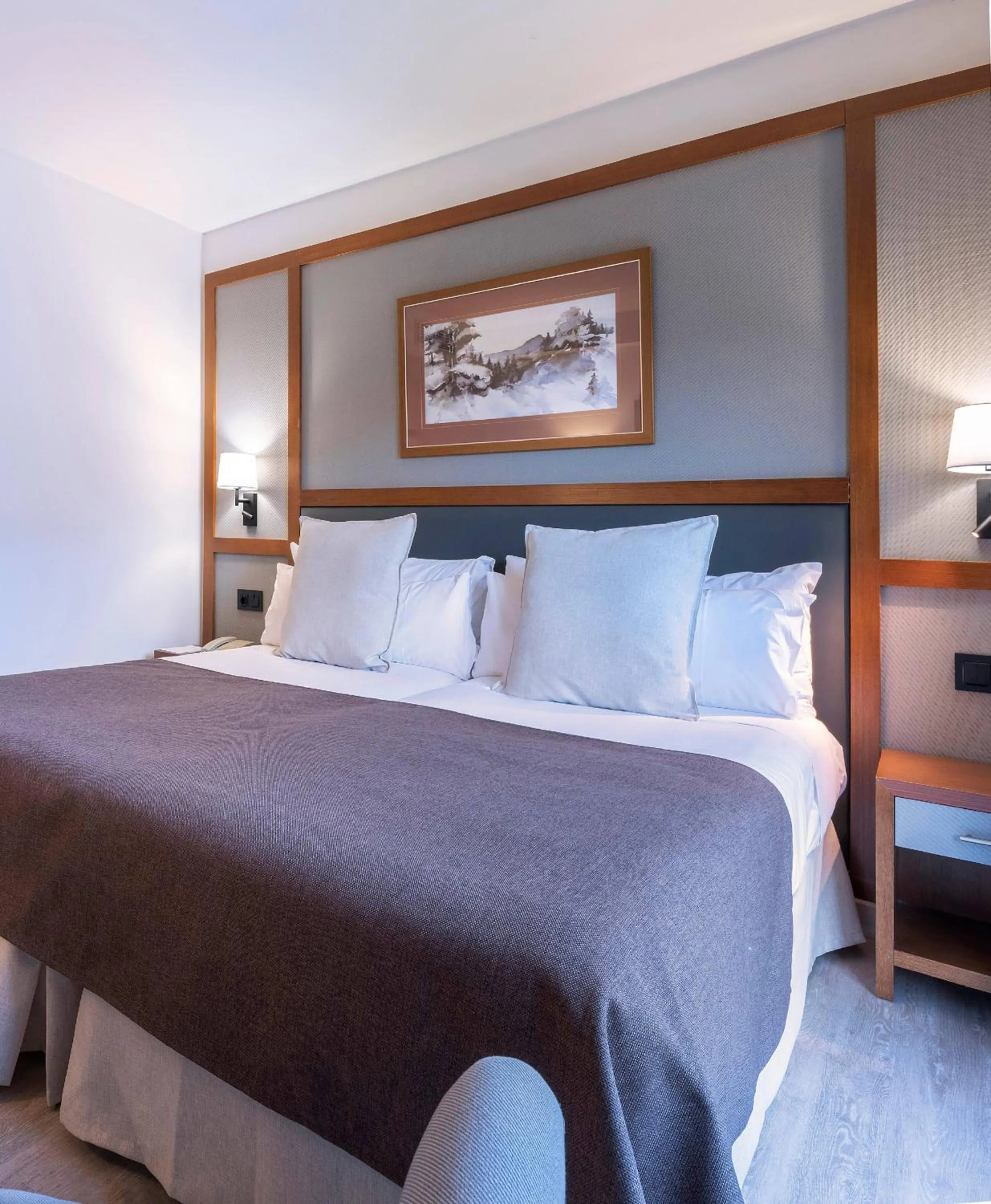 Bed in Vielha Val d'Arán Affiliated by Meliá Hotel