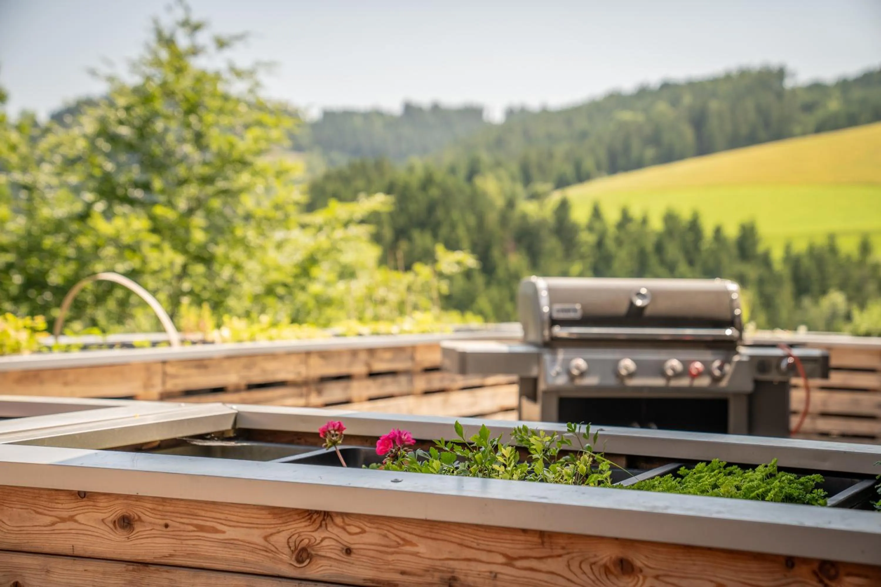 Balcony/Terrace in Königswieser Hof